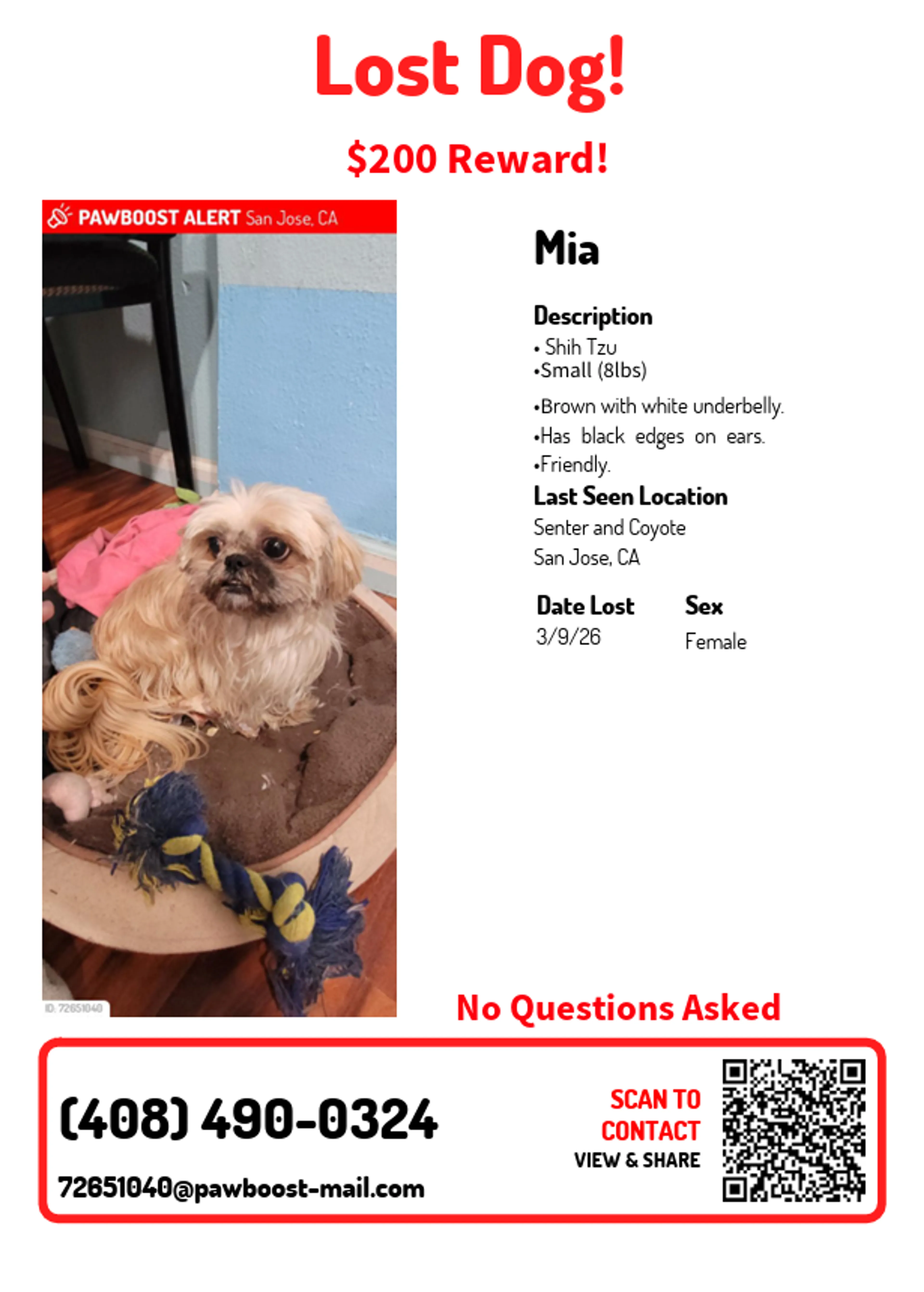 Lost pet