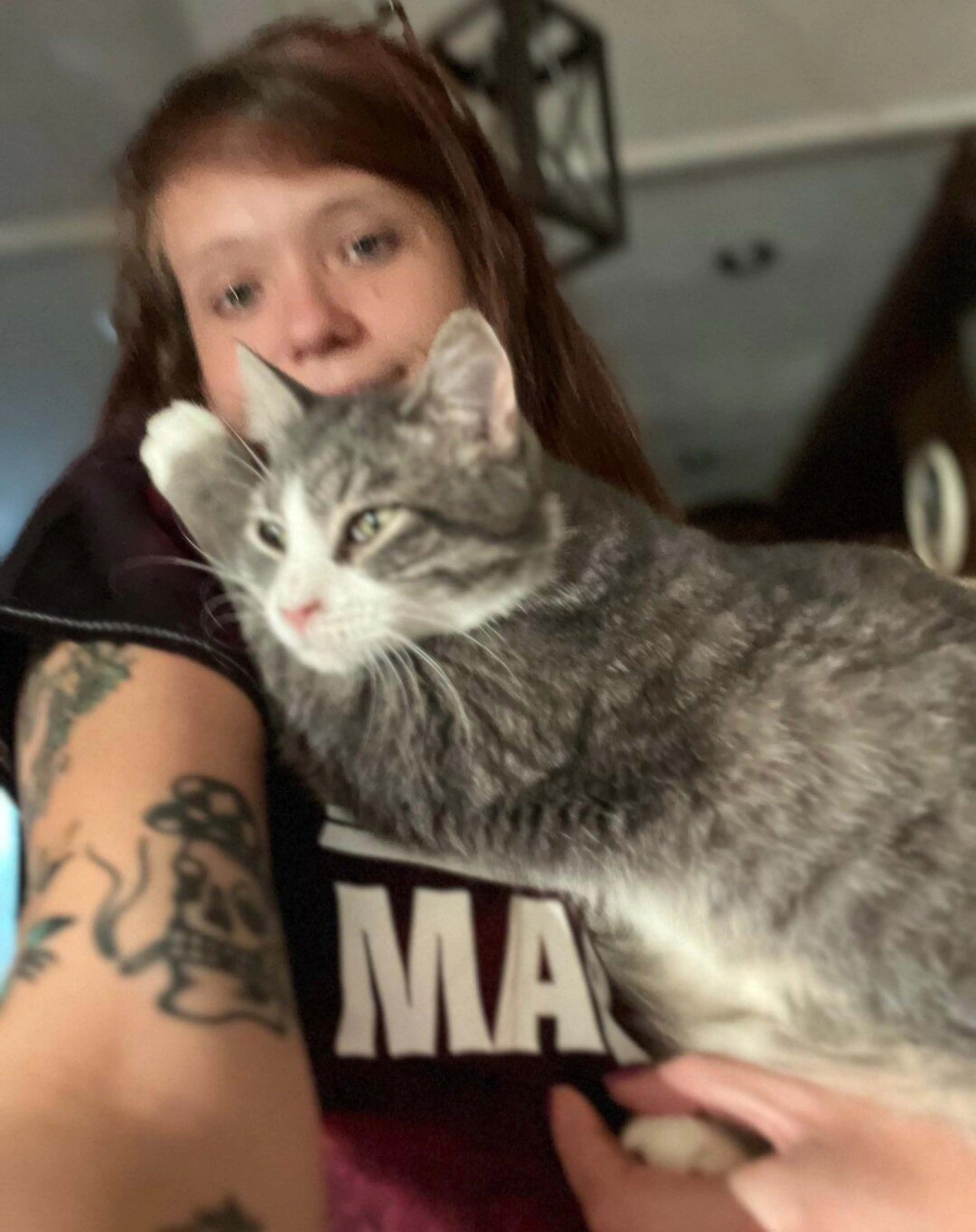 Lost pet