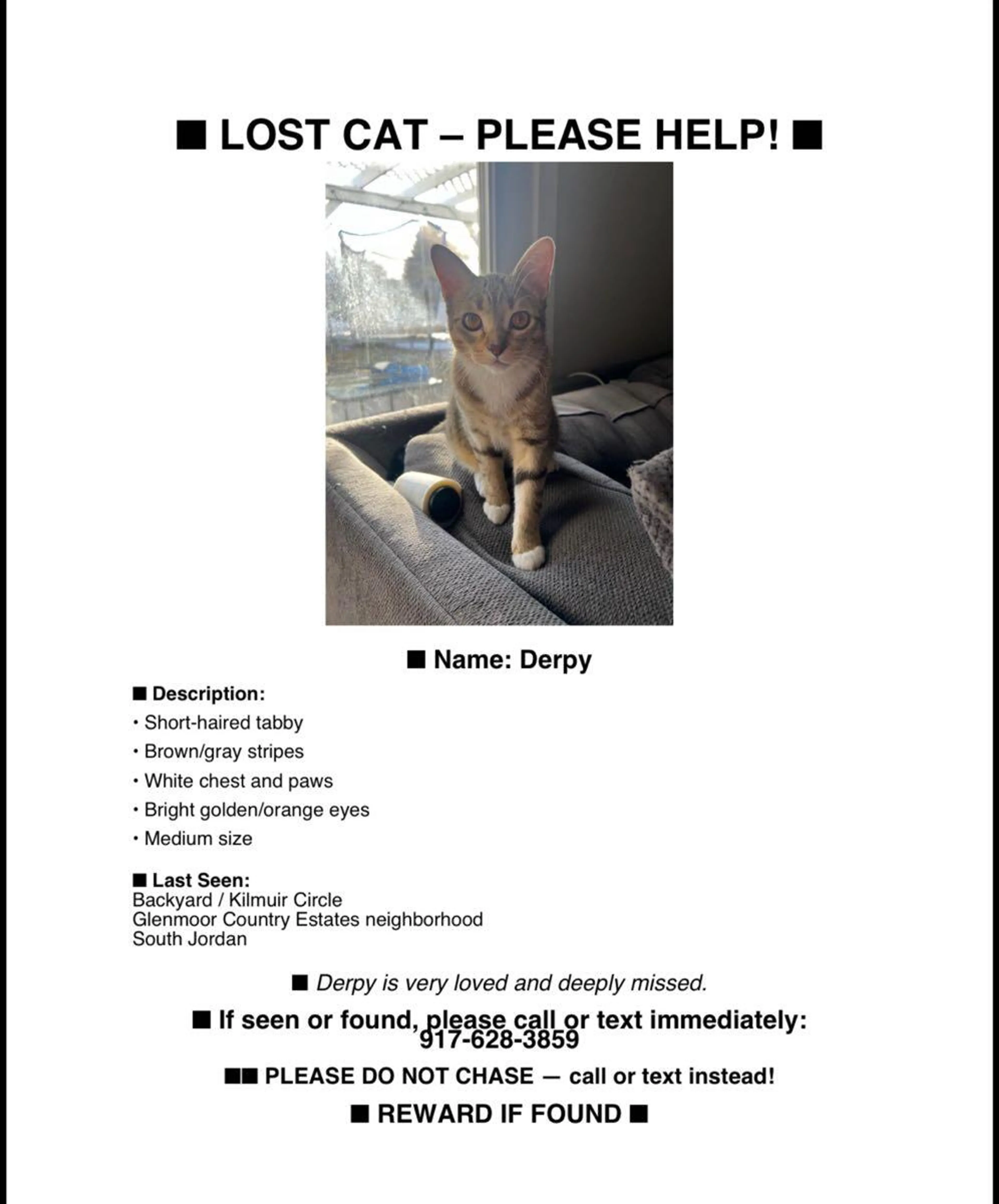 Lost pet