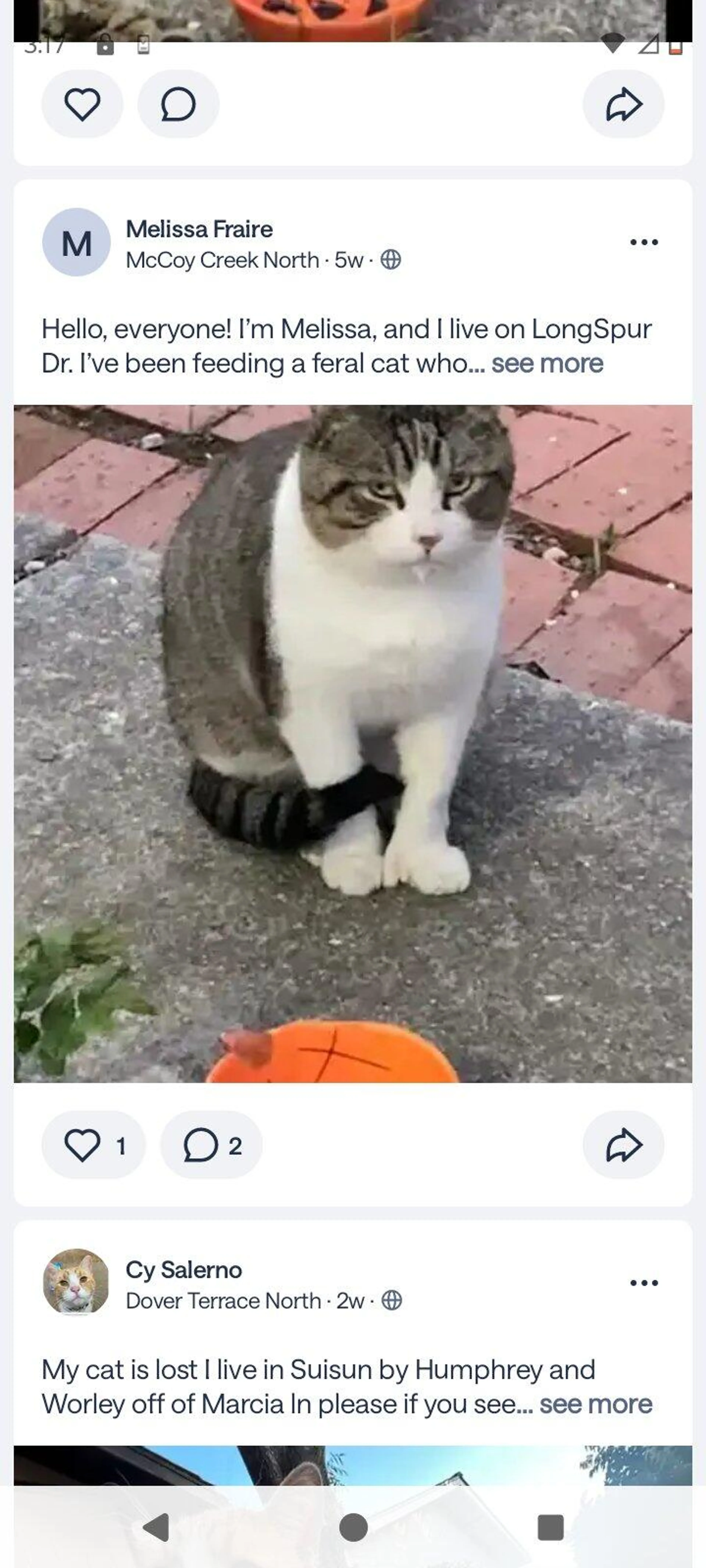 Found pet