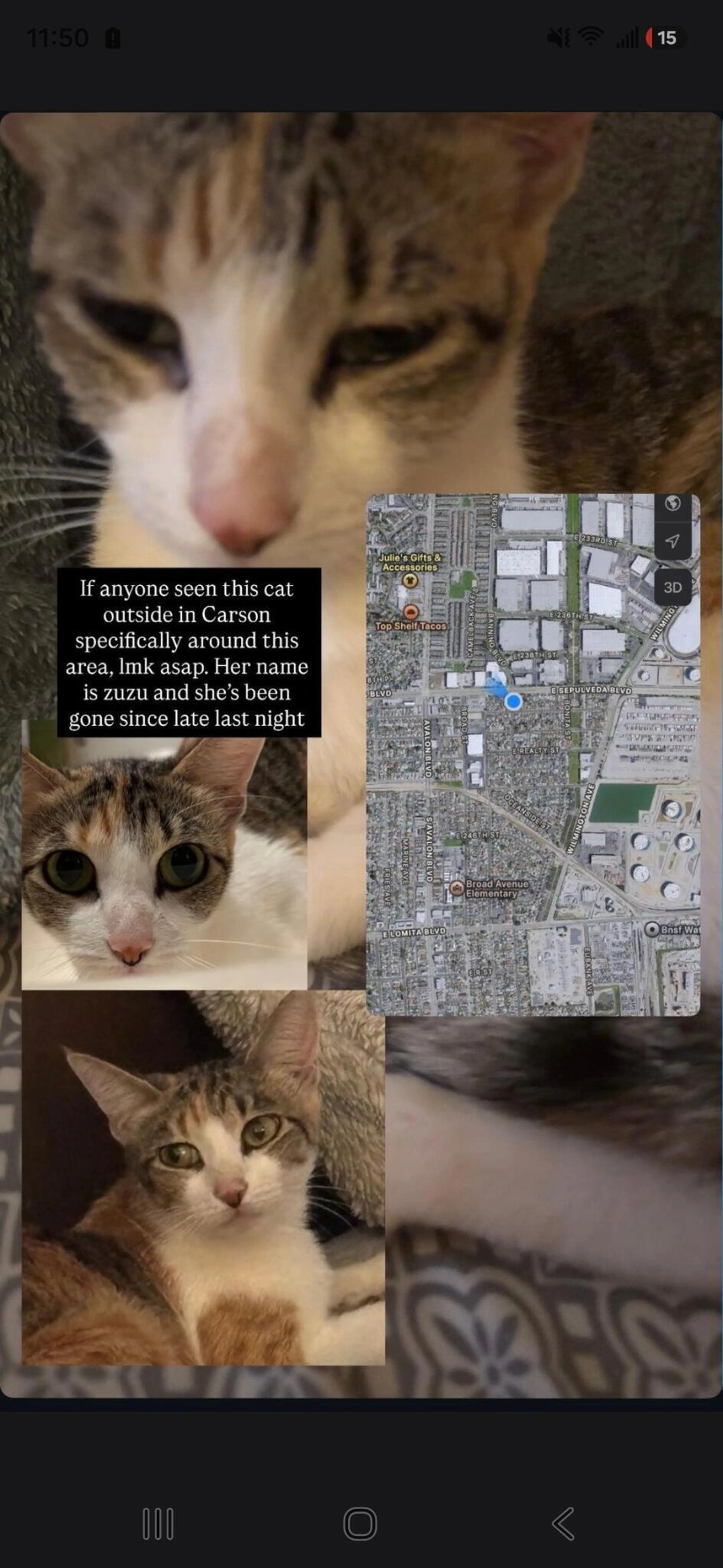 cdn image