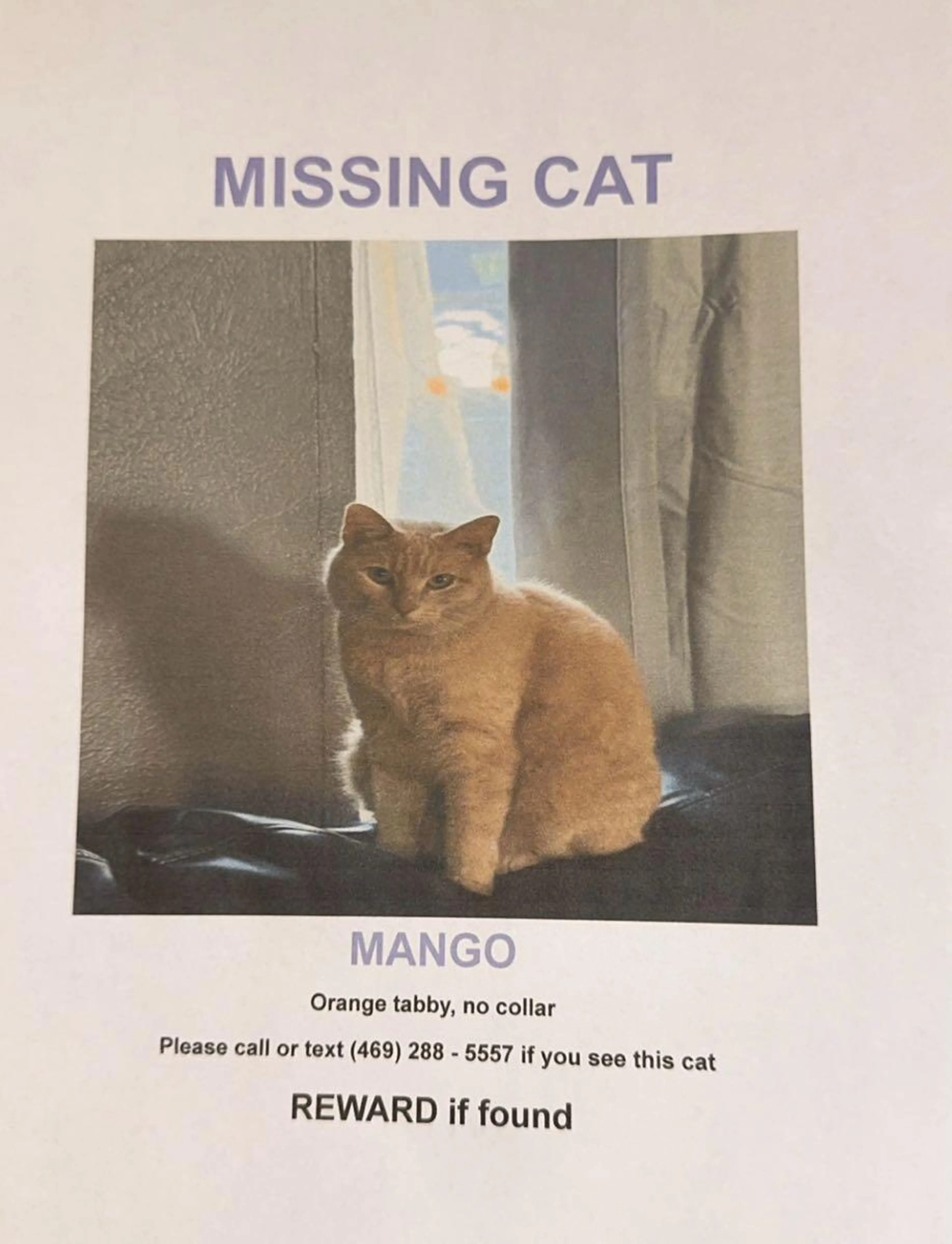 Lost pet
