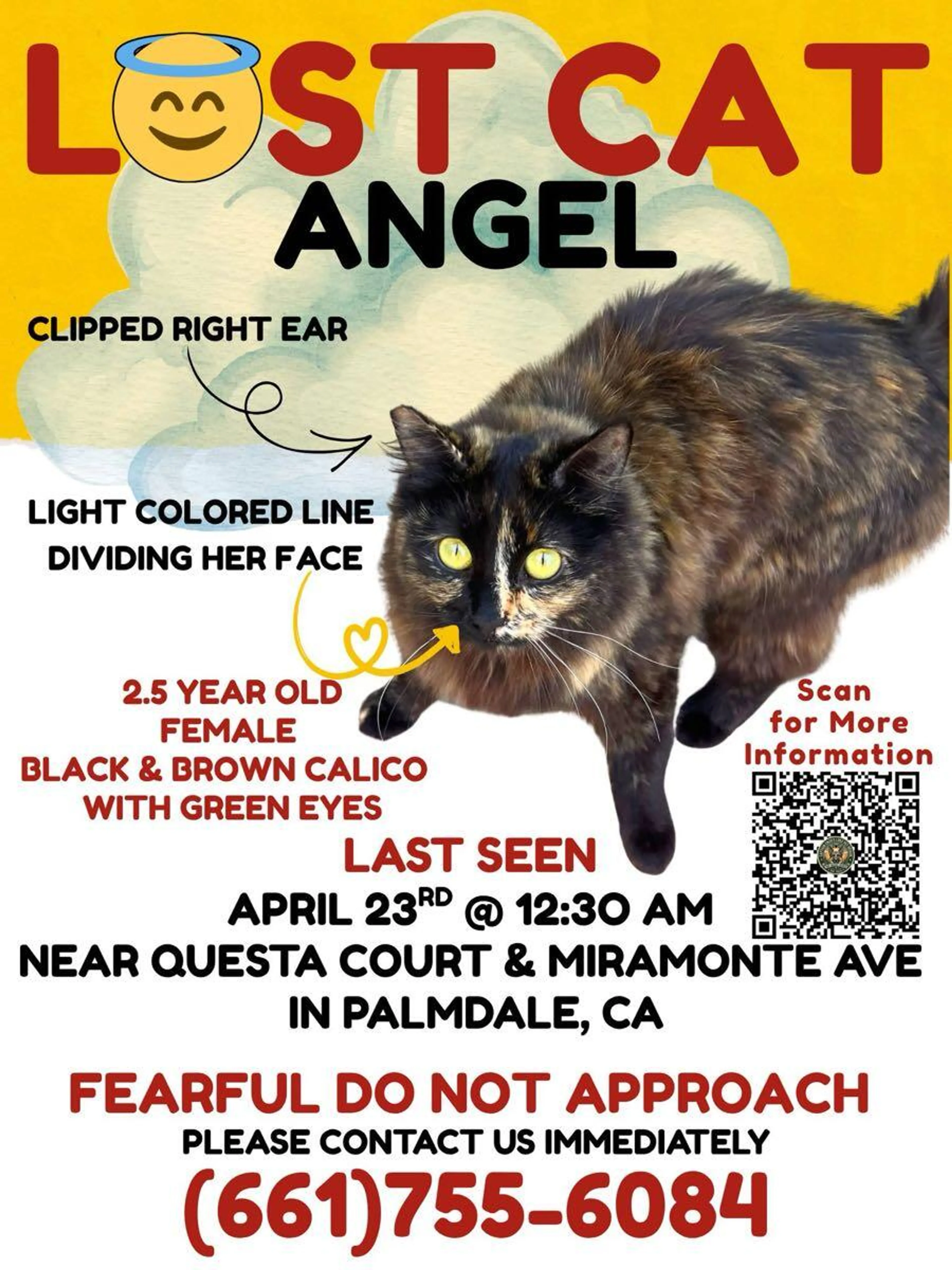 Lost pet