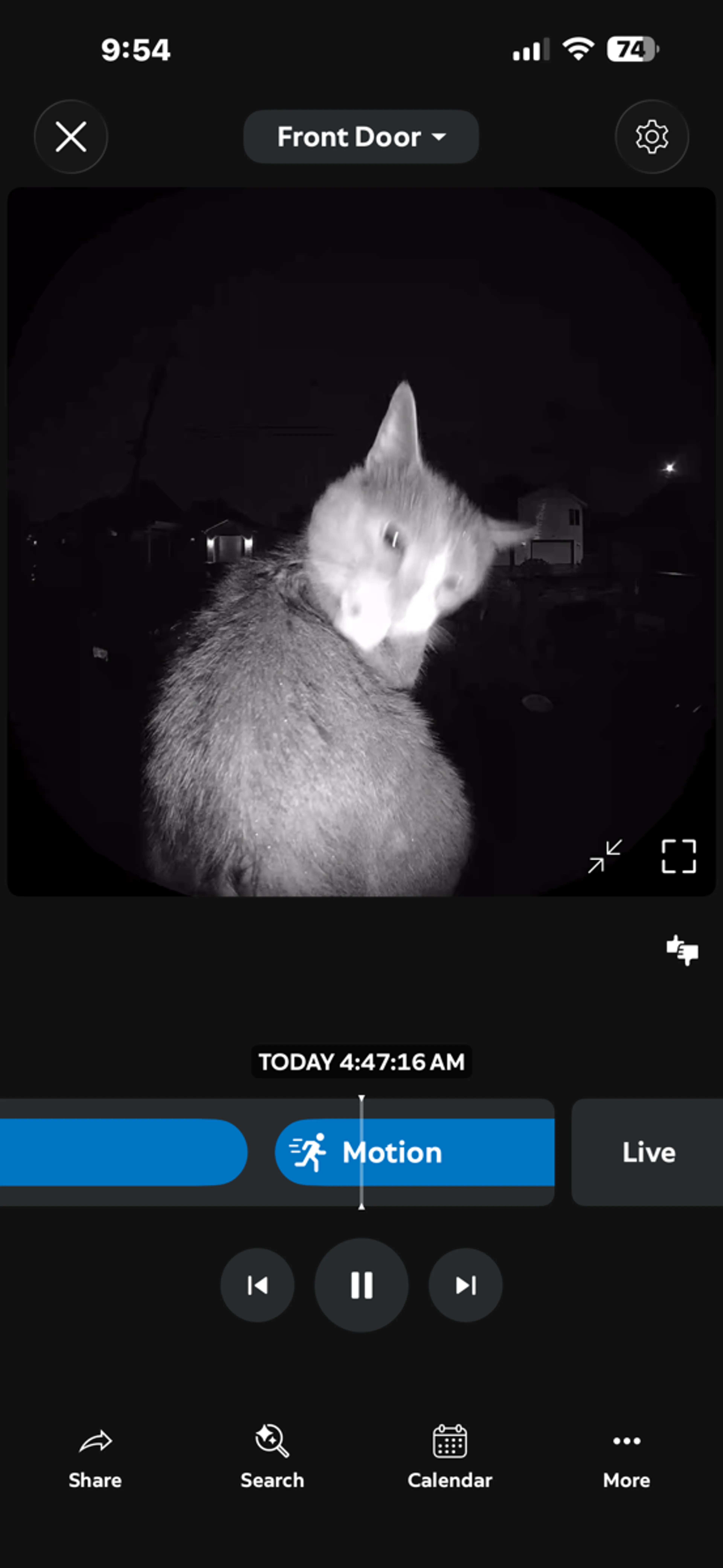 cdn image