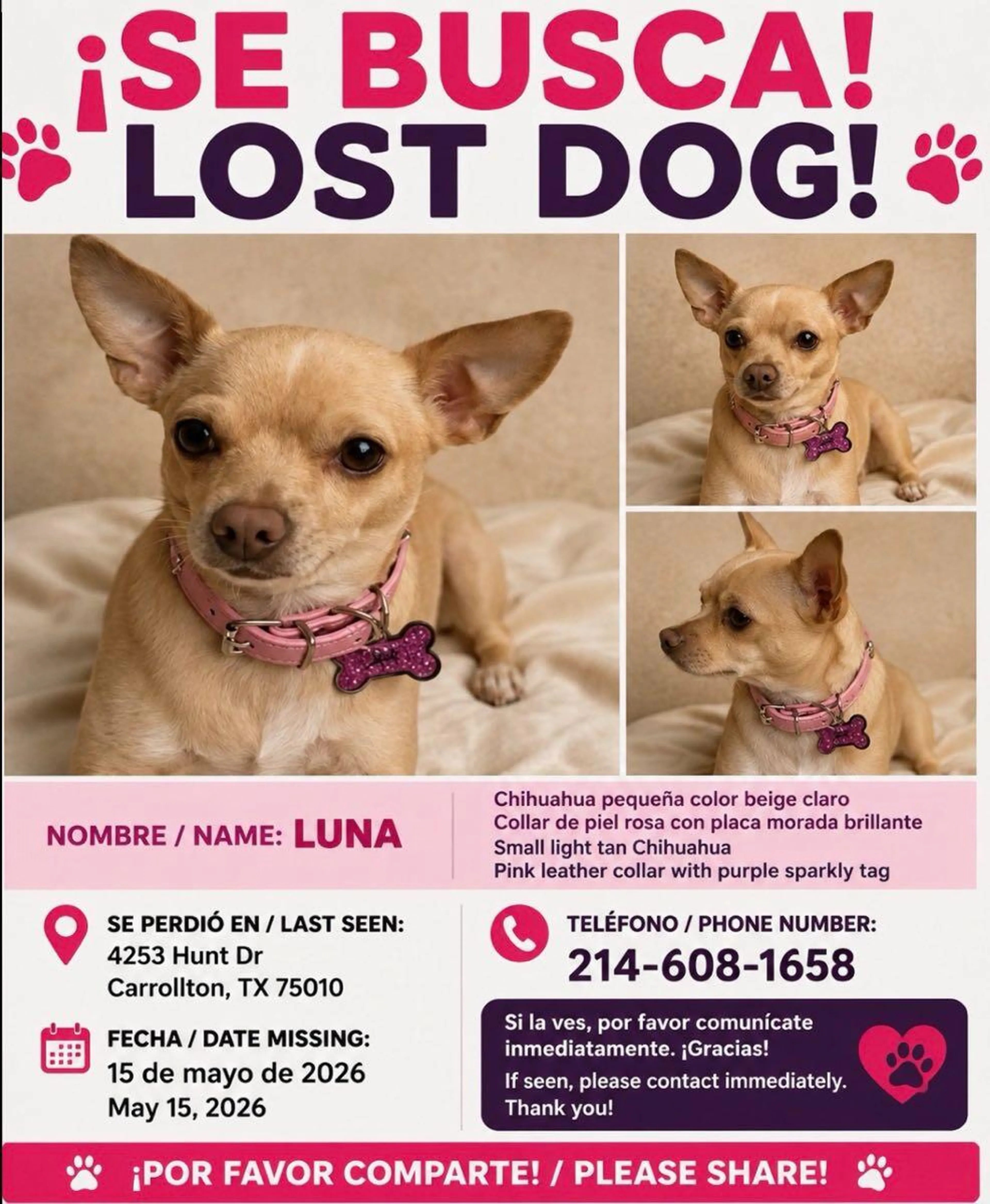 Lost pet