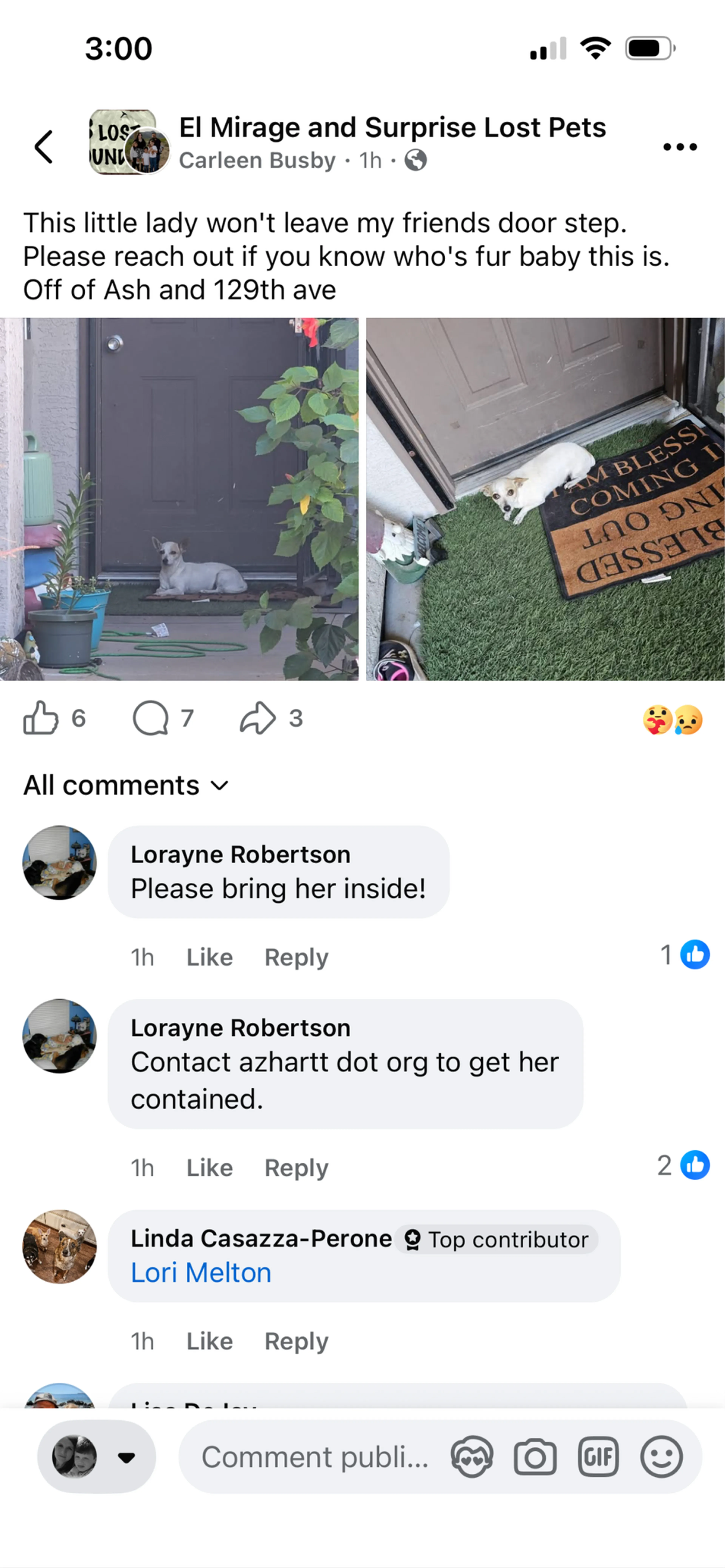 Found pet