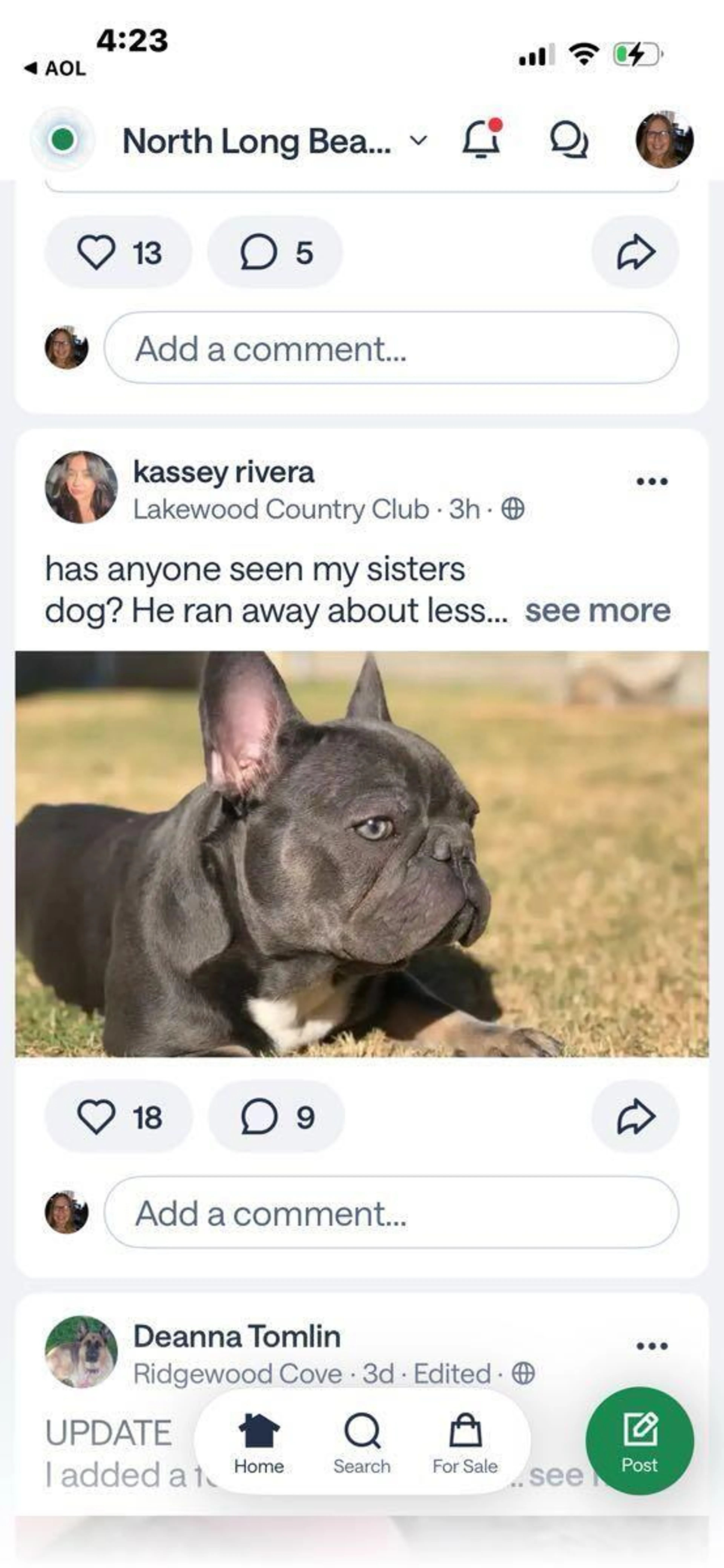 Found pet