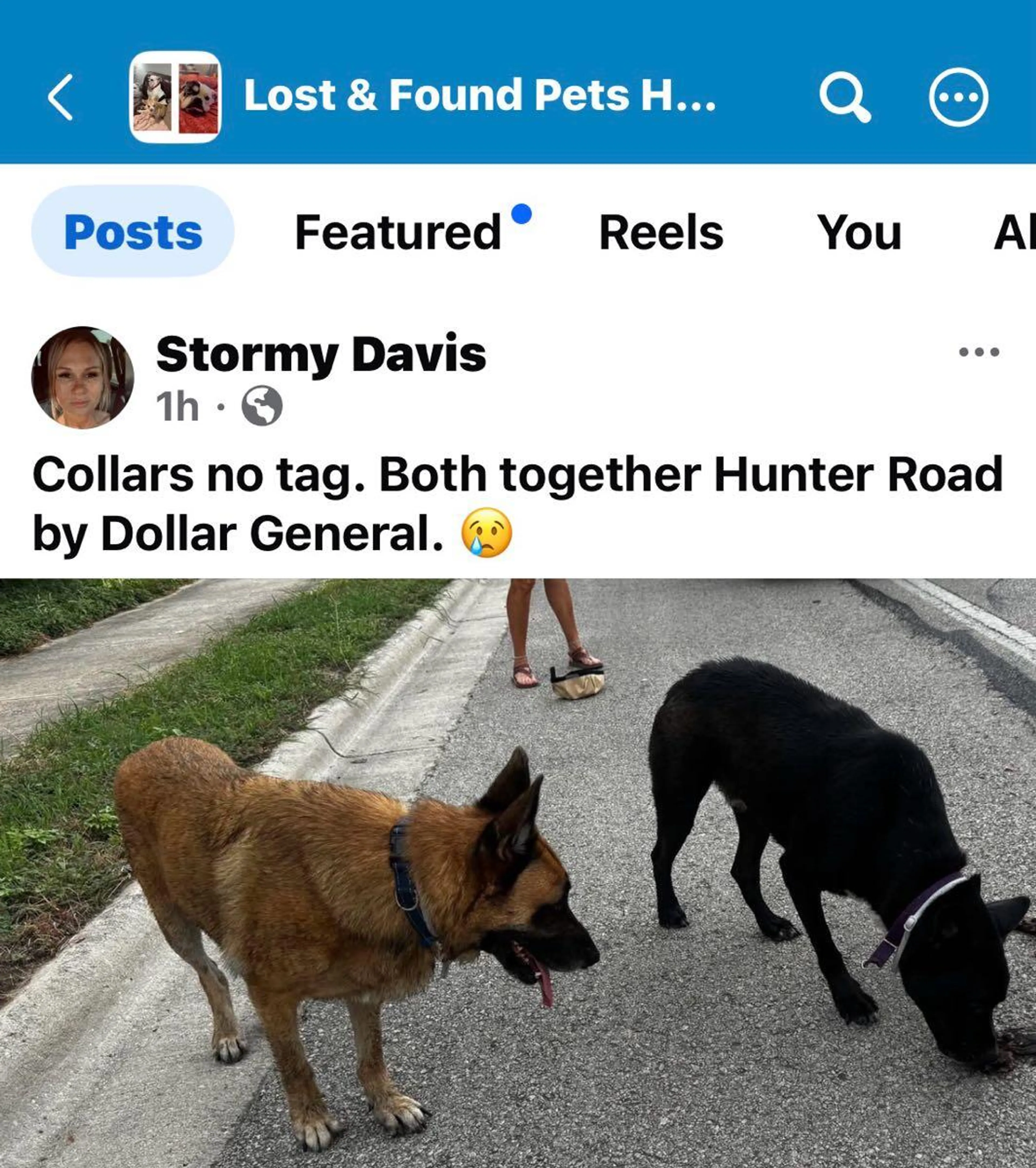 cdn image