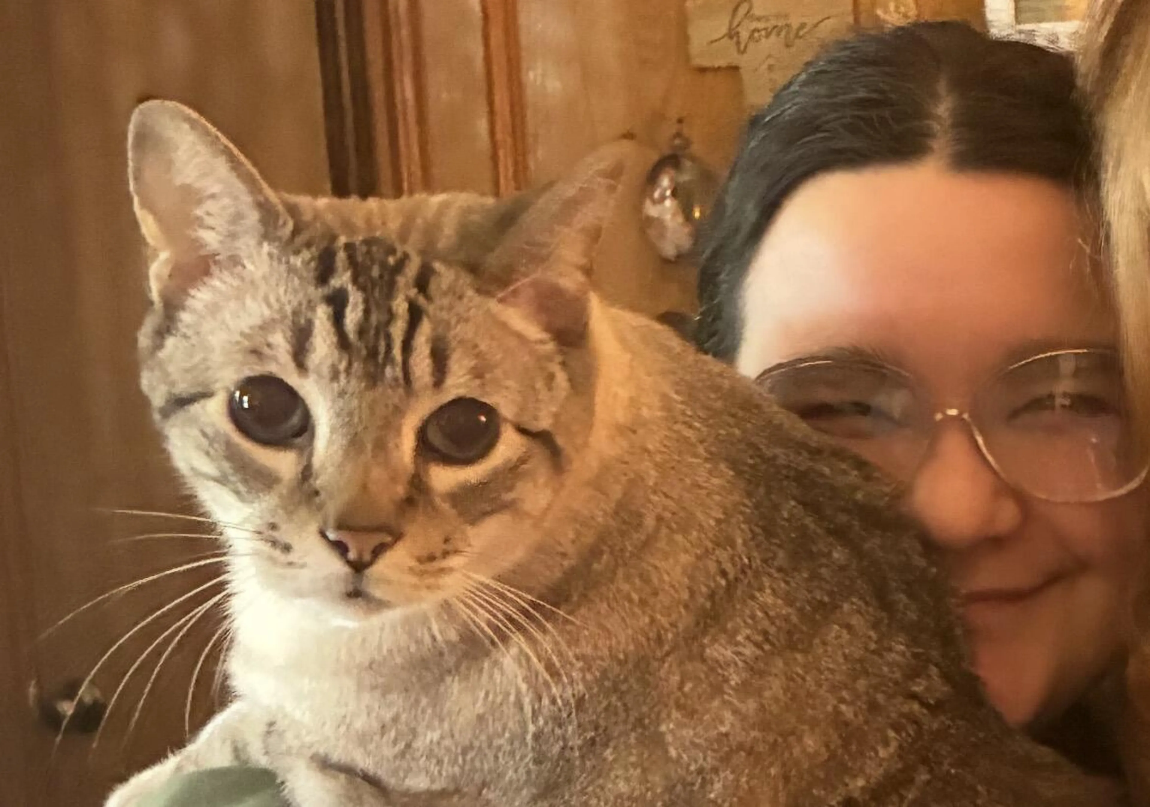 Lost pet