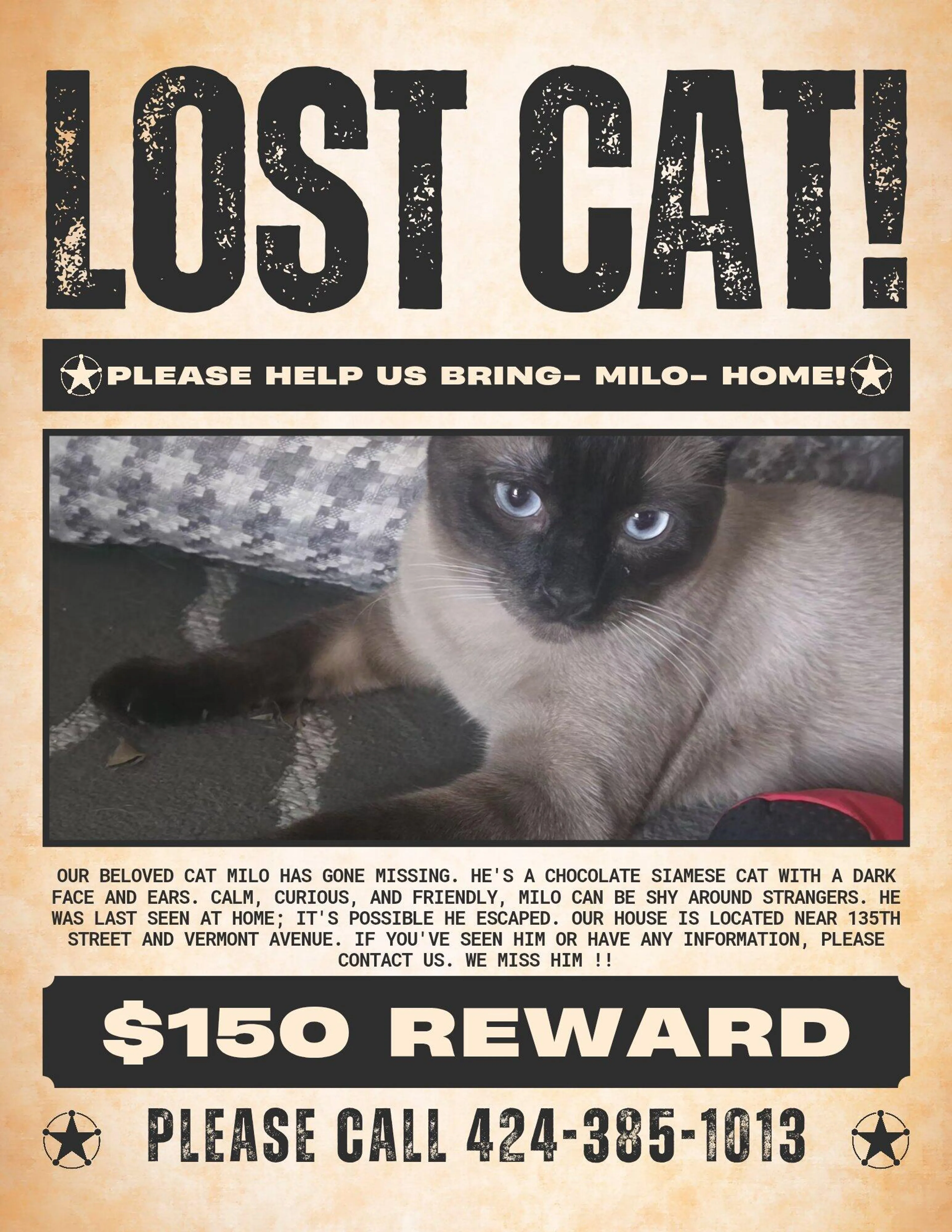 Lost pet