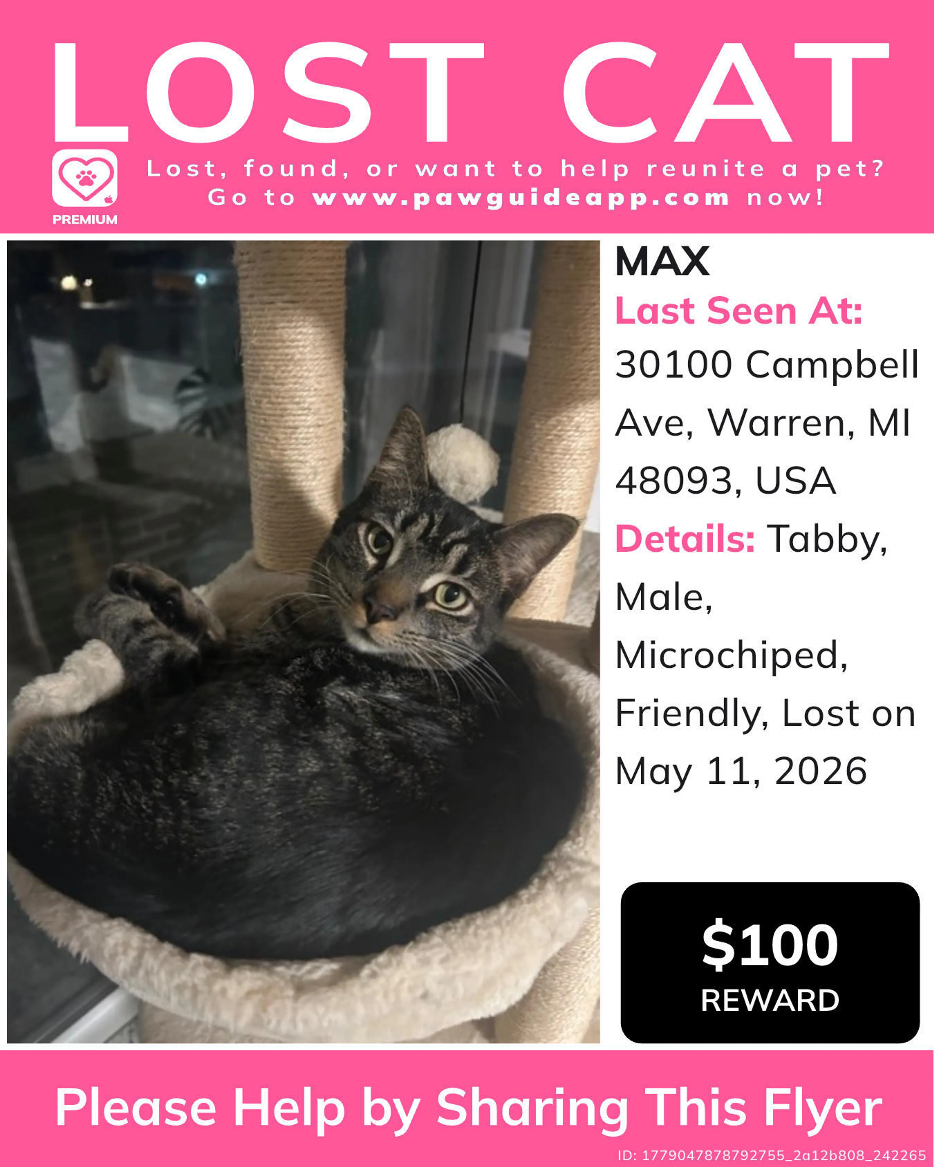 Lost pet