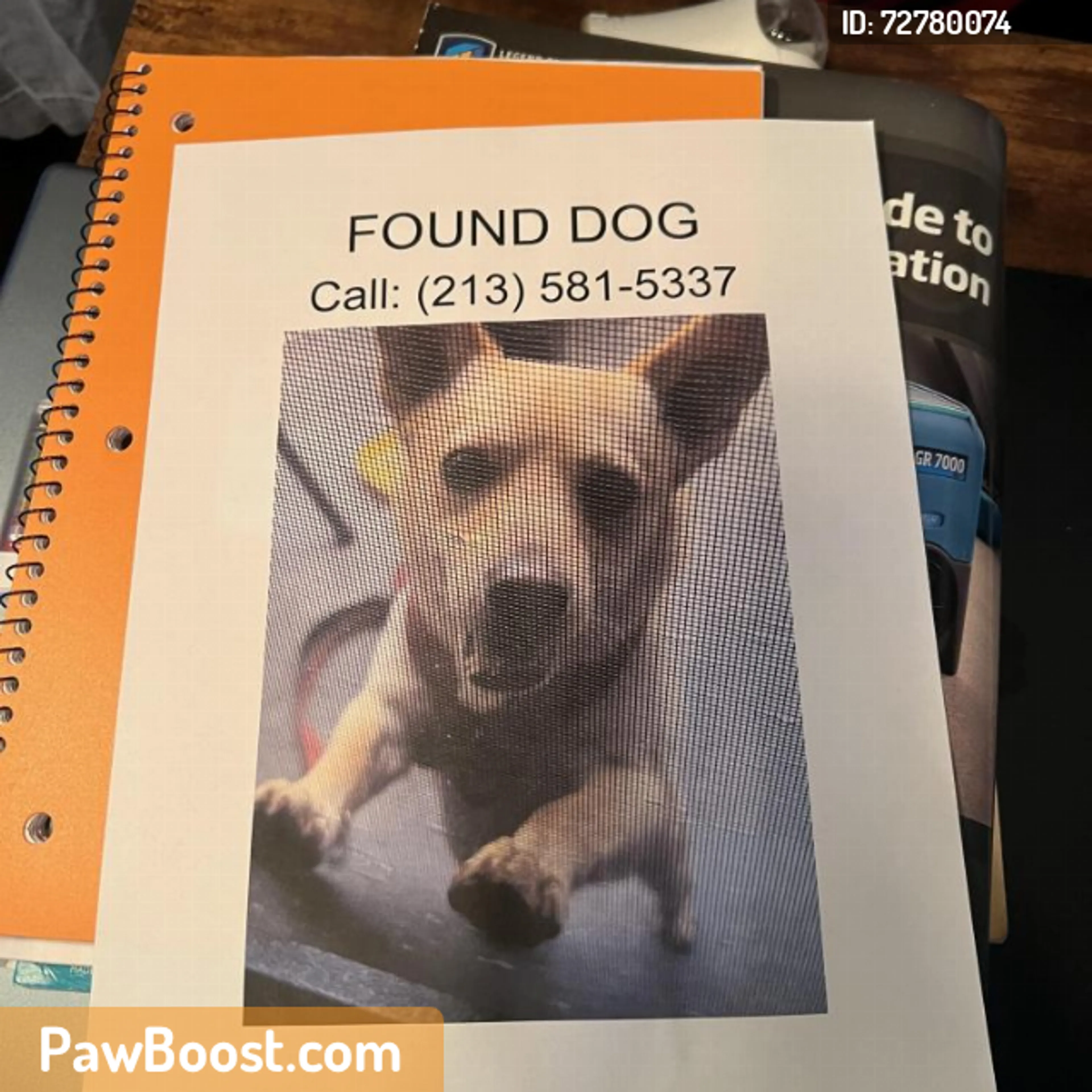 Found pet