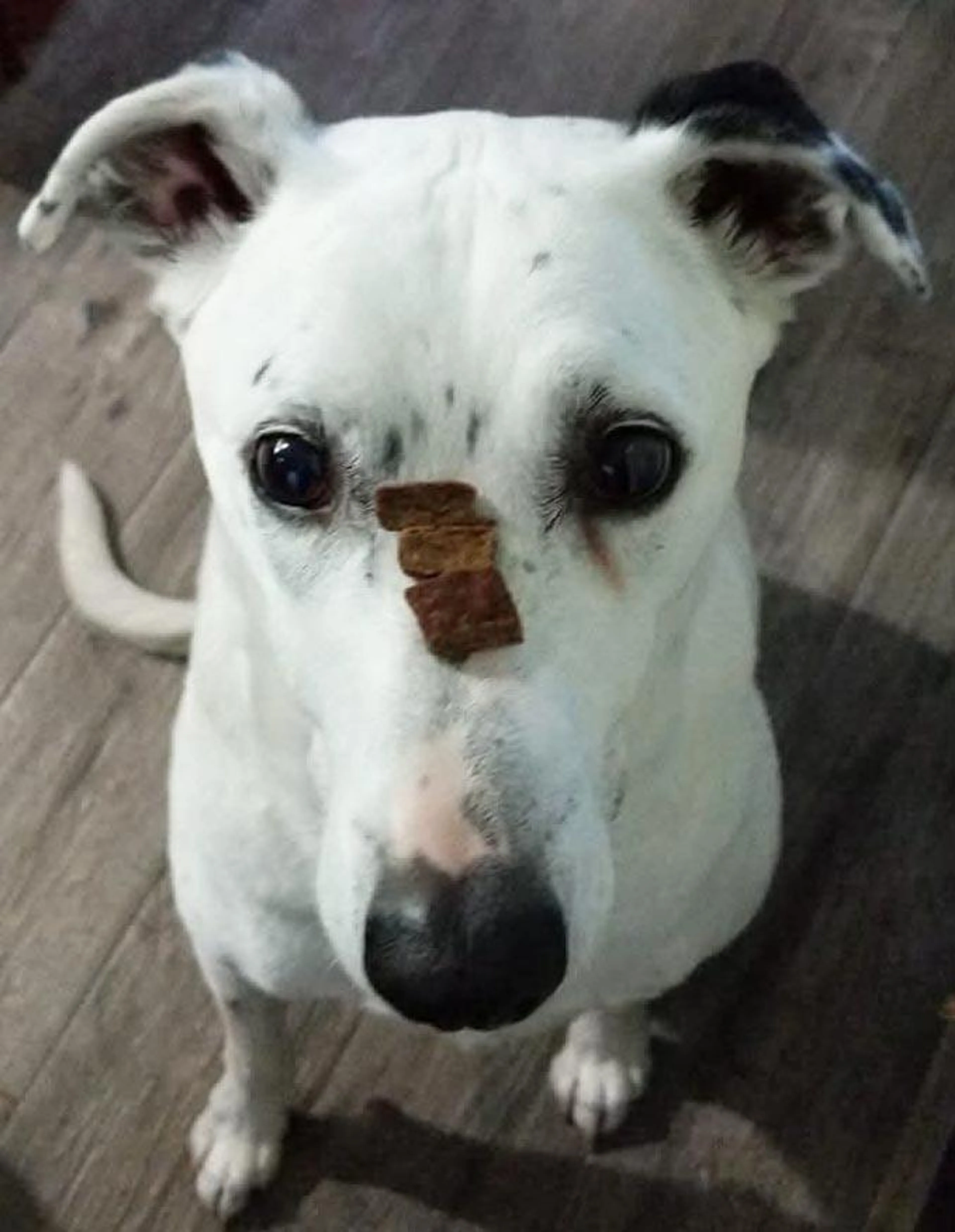 cdn image