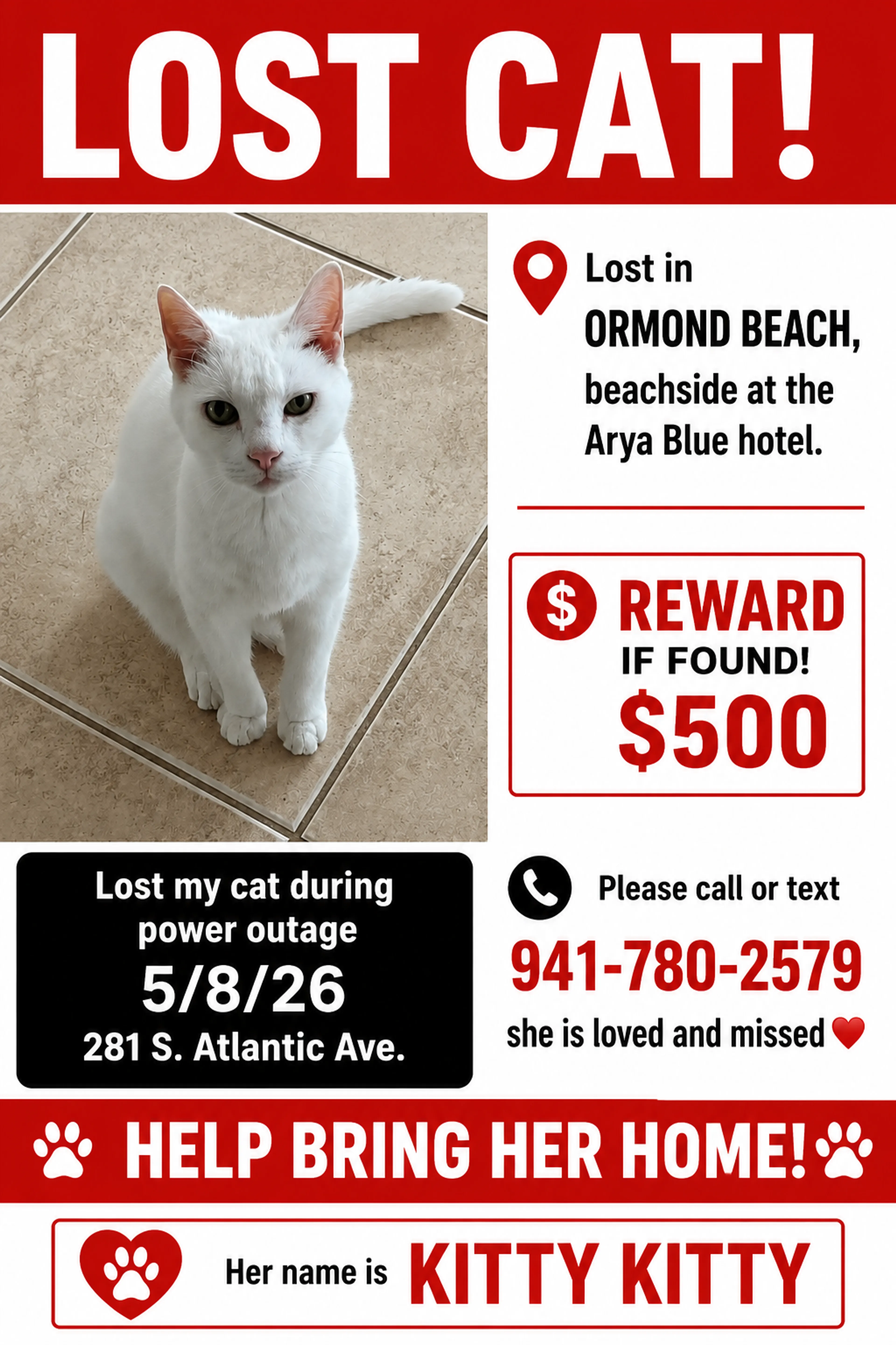 Lost pet