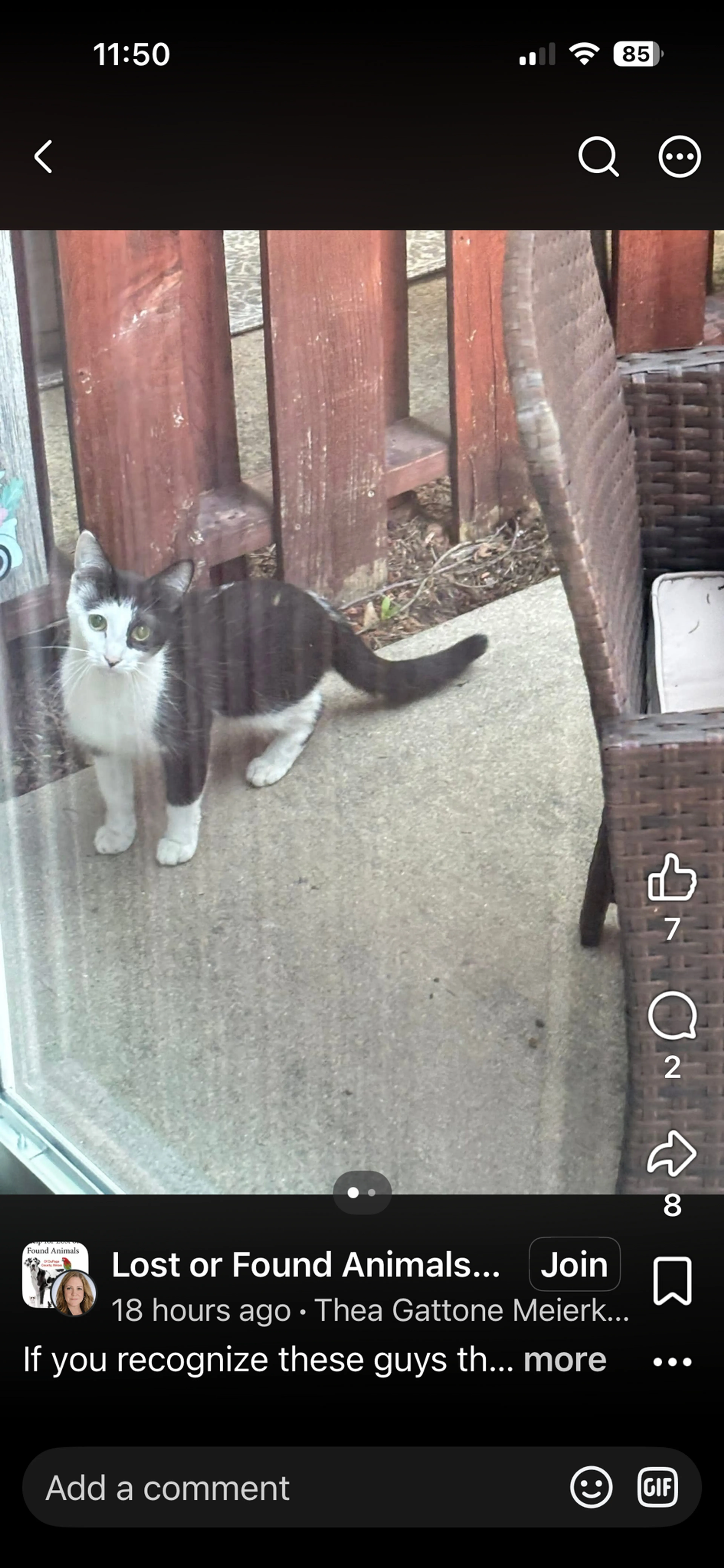 cdn image