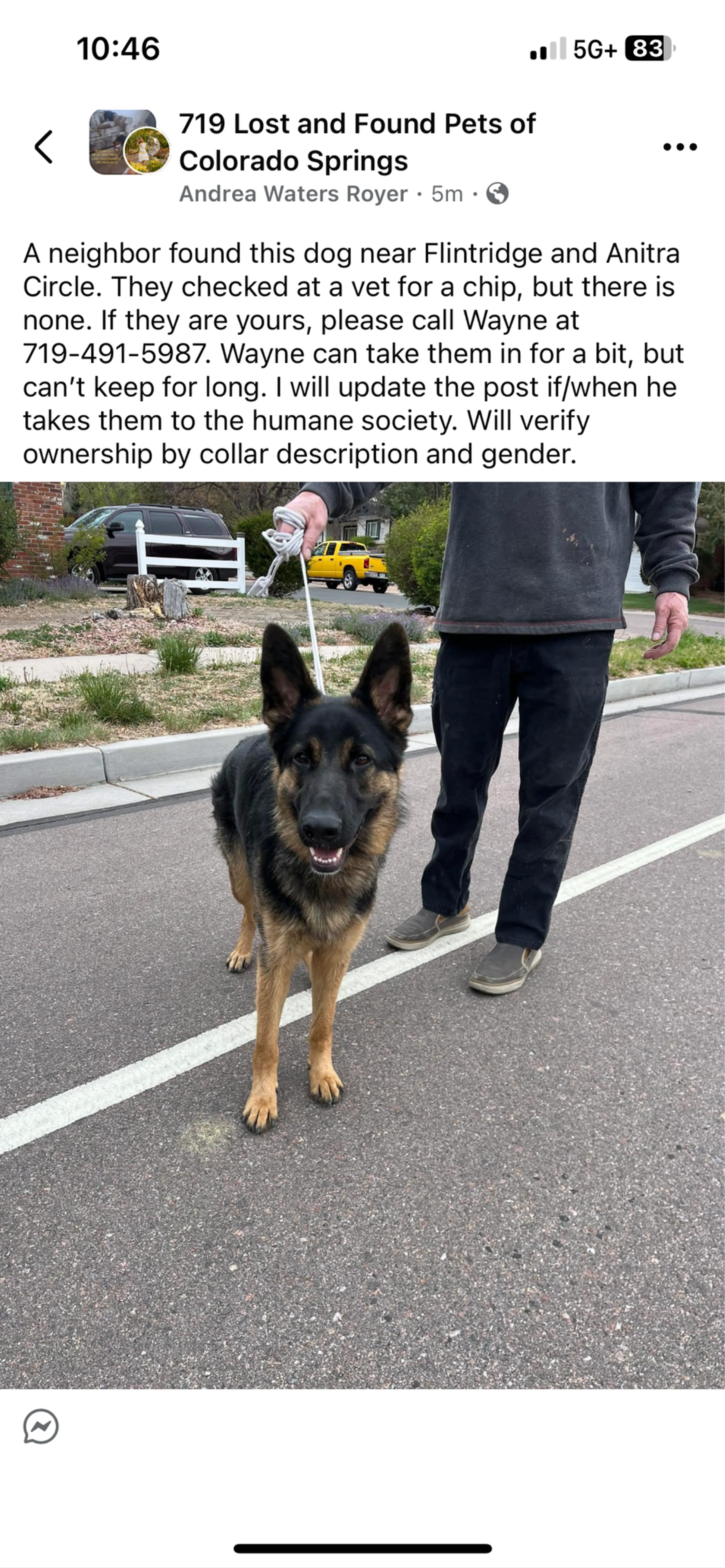 Found pet