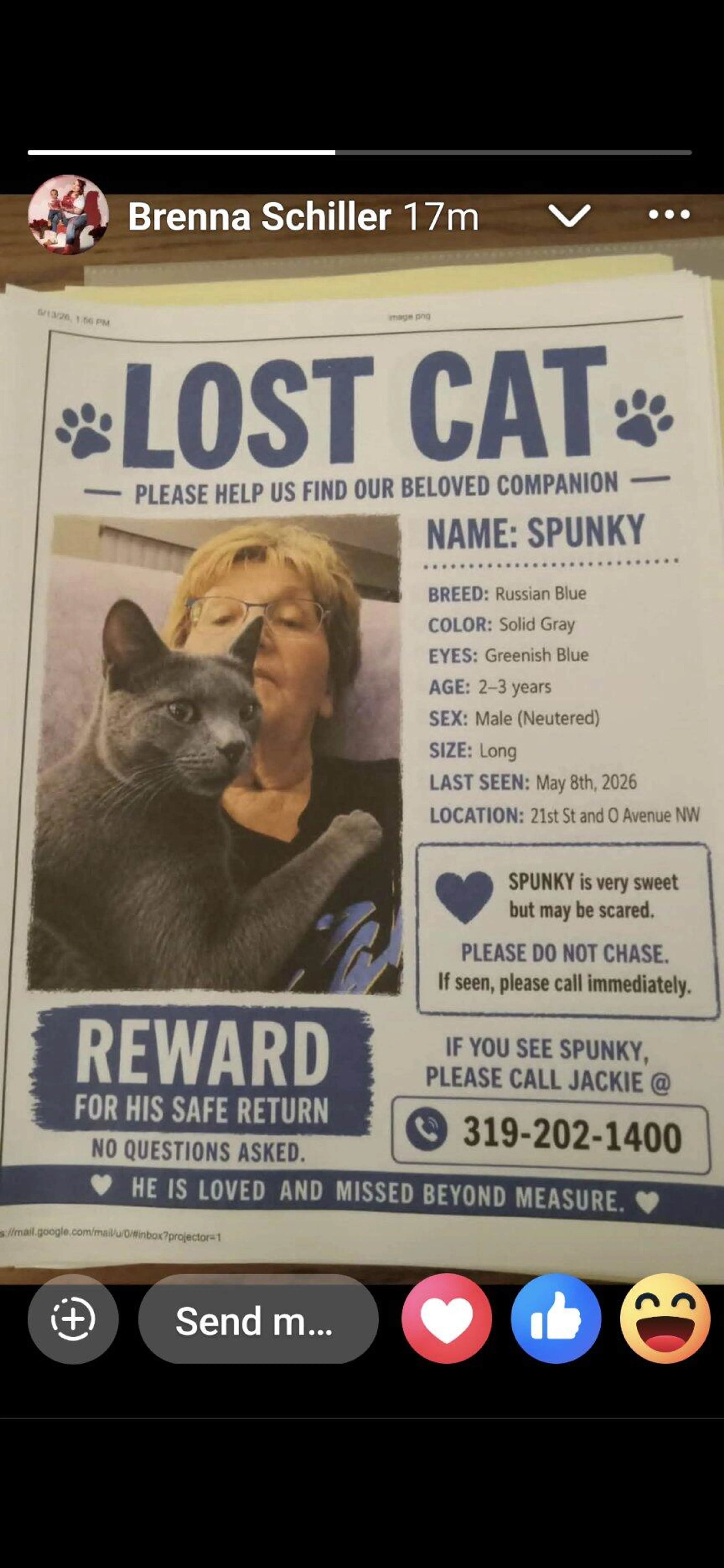 Lost pet
