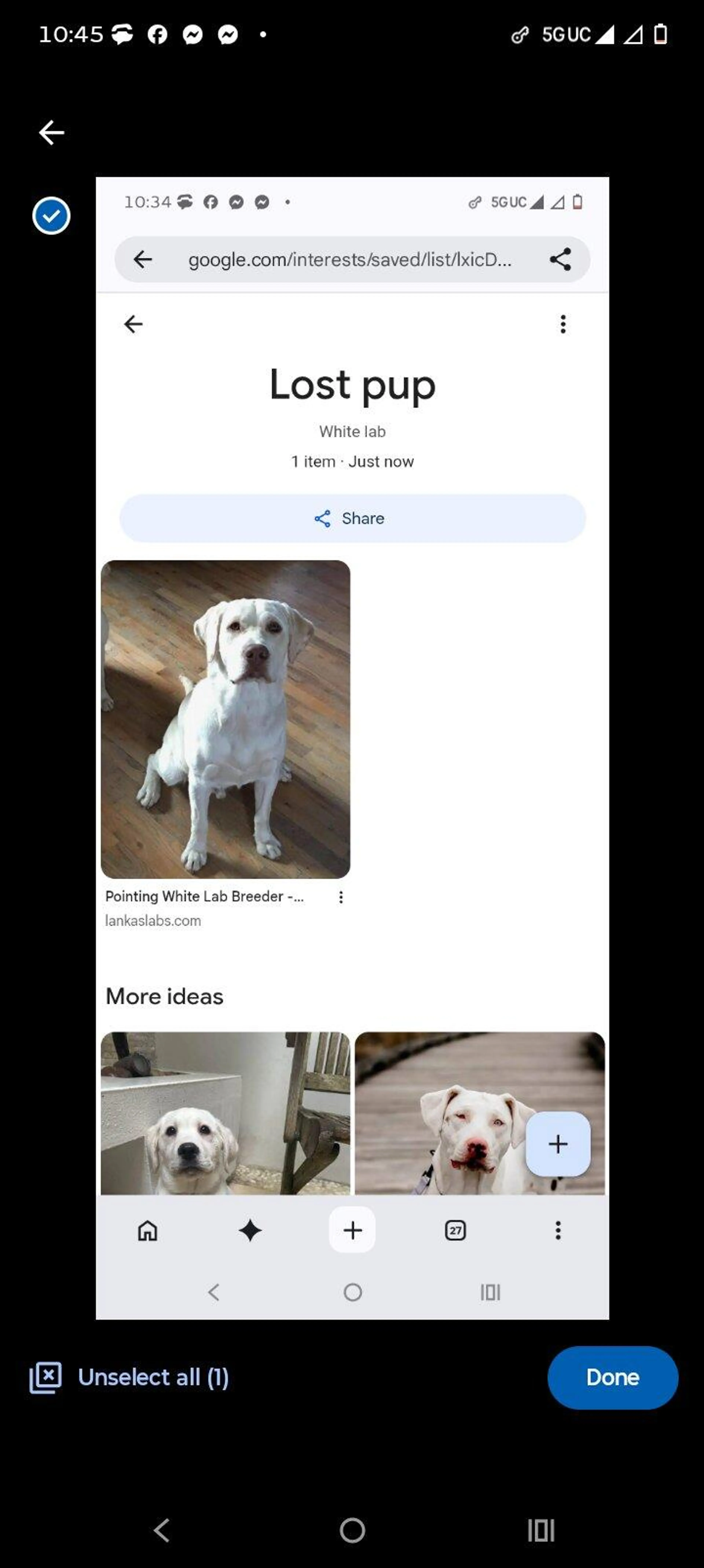 cdn image