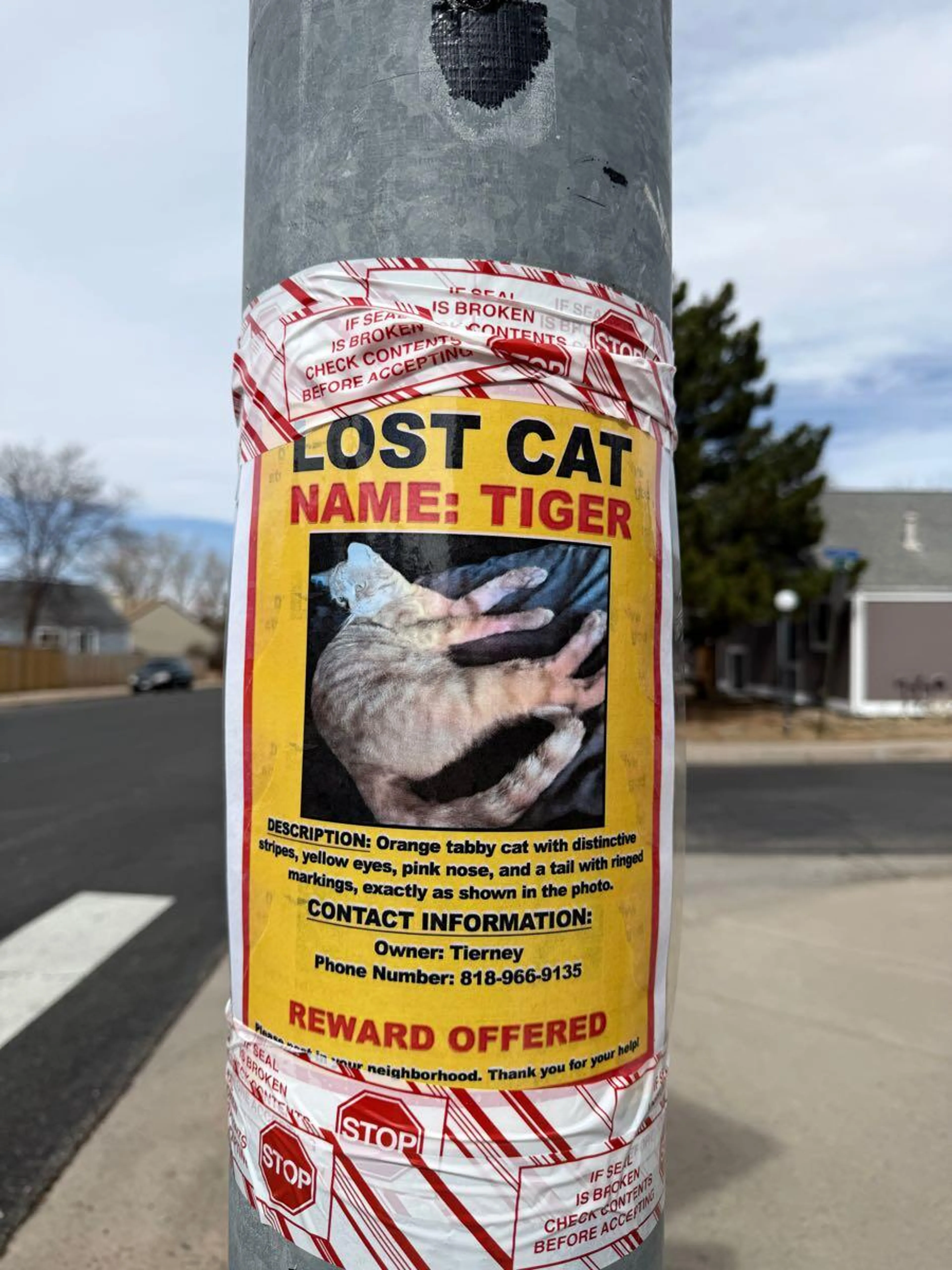 Lost pet