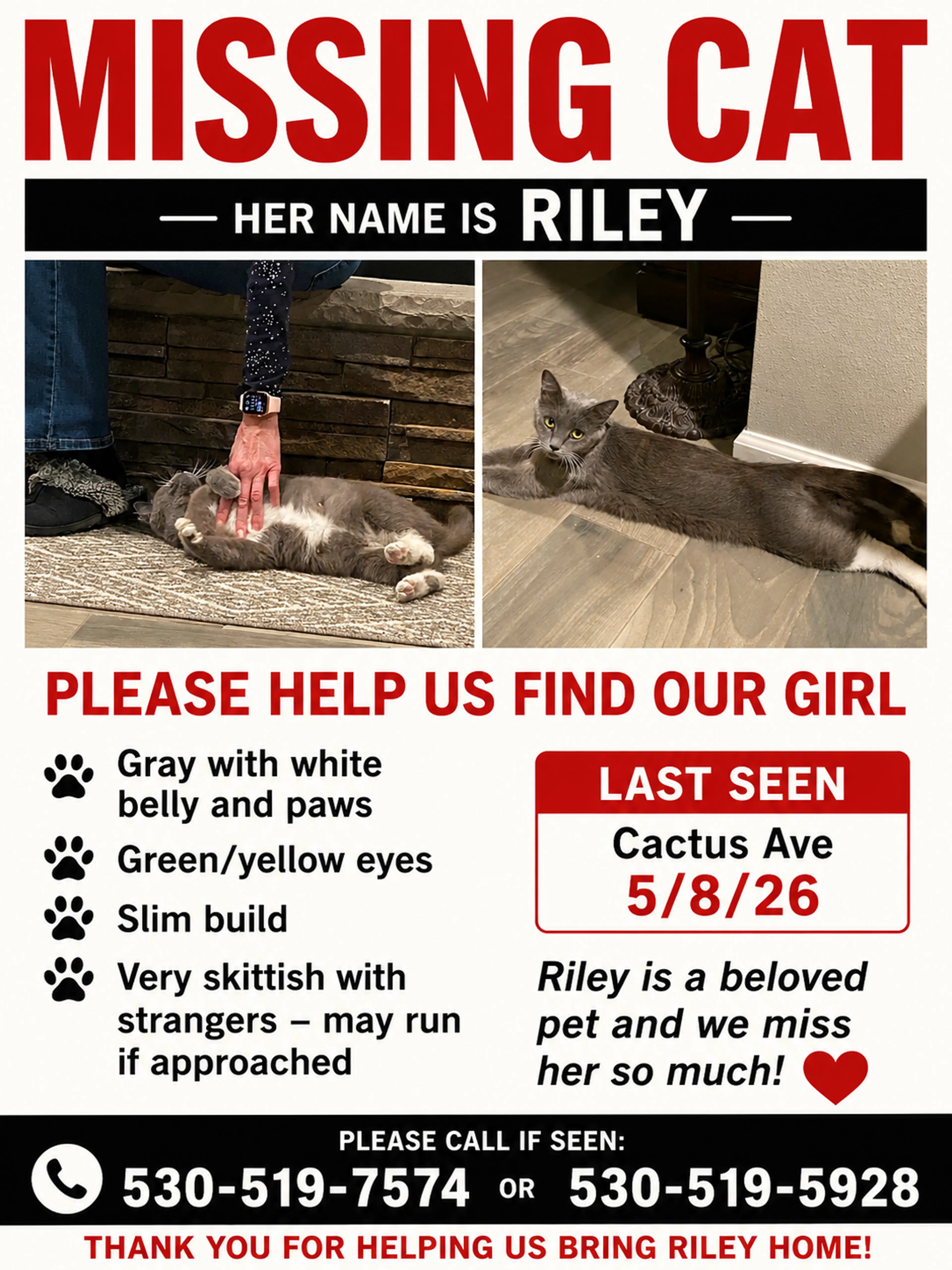 Lost pet