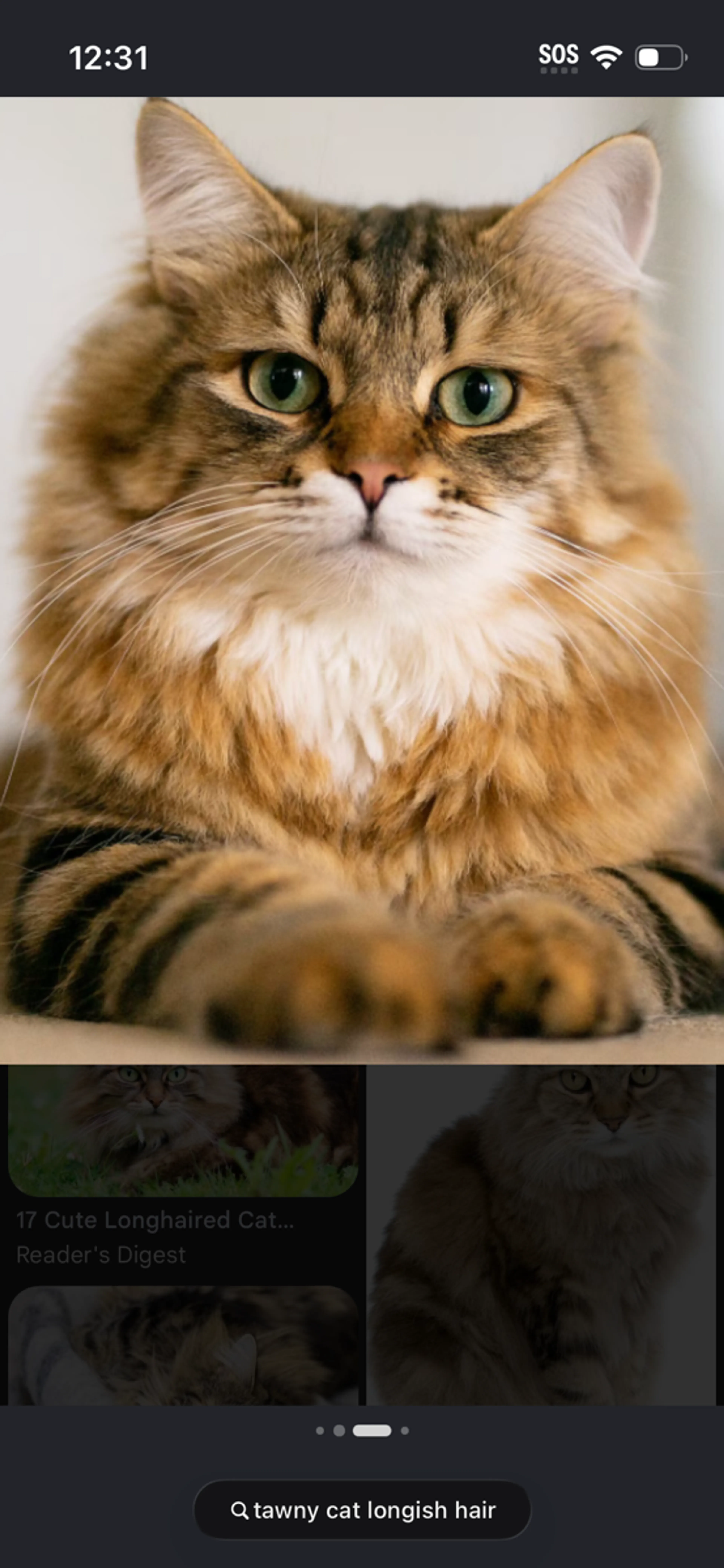 cdn image