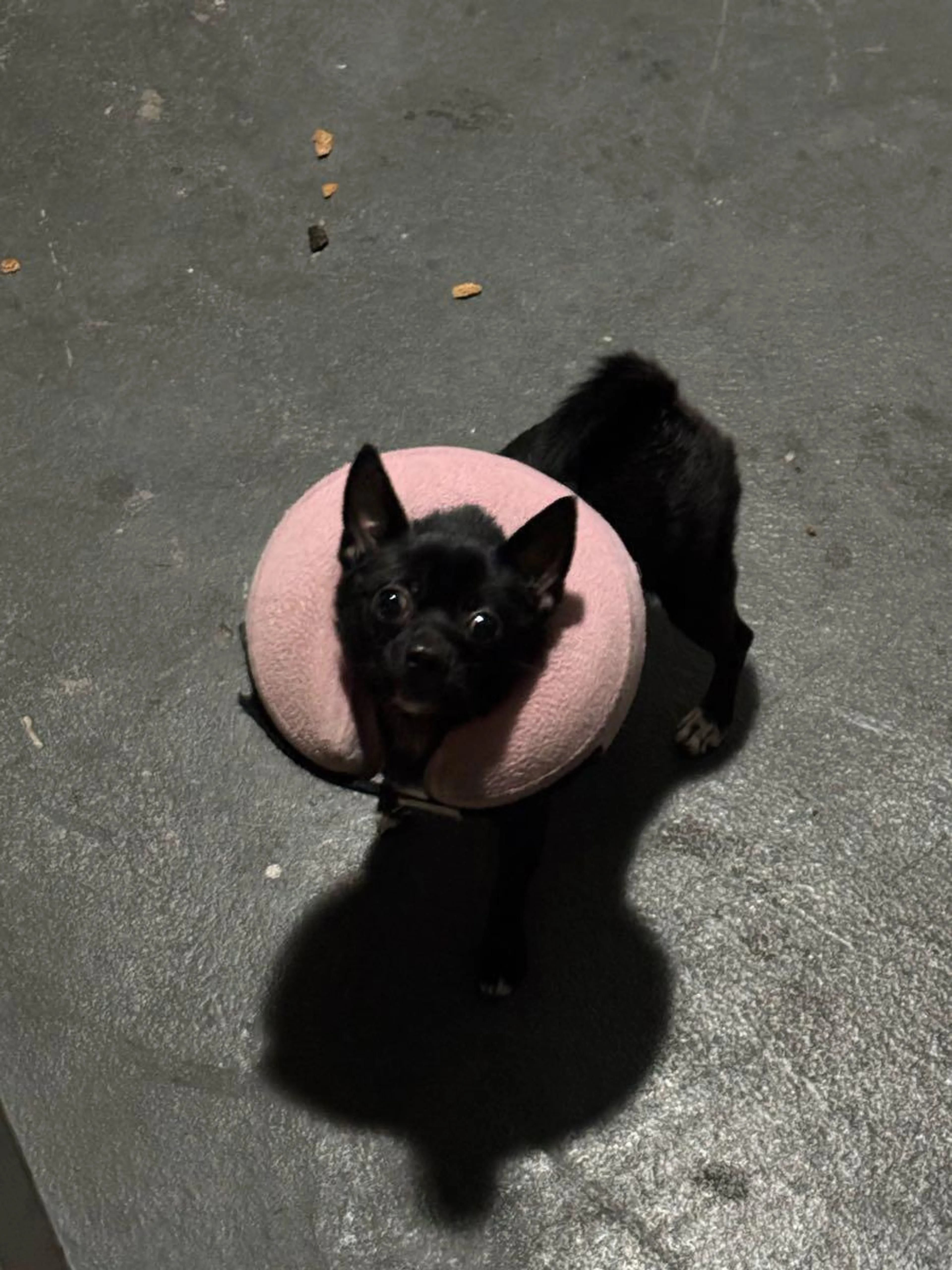 cdn image