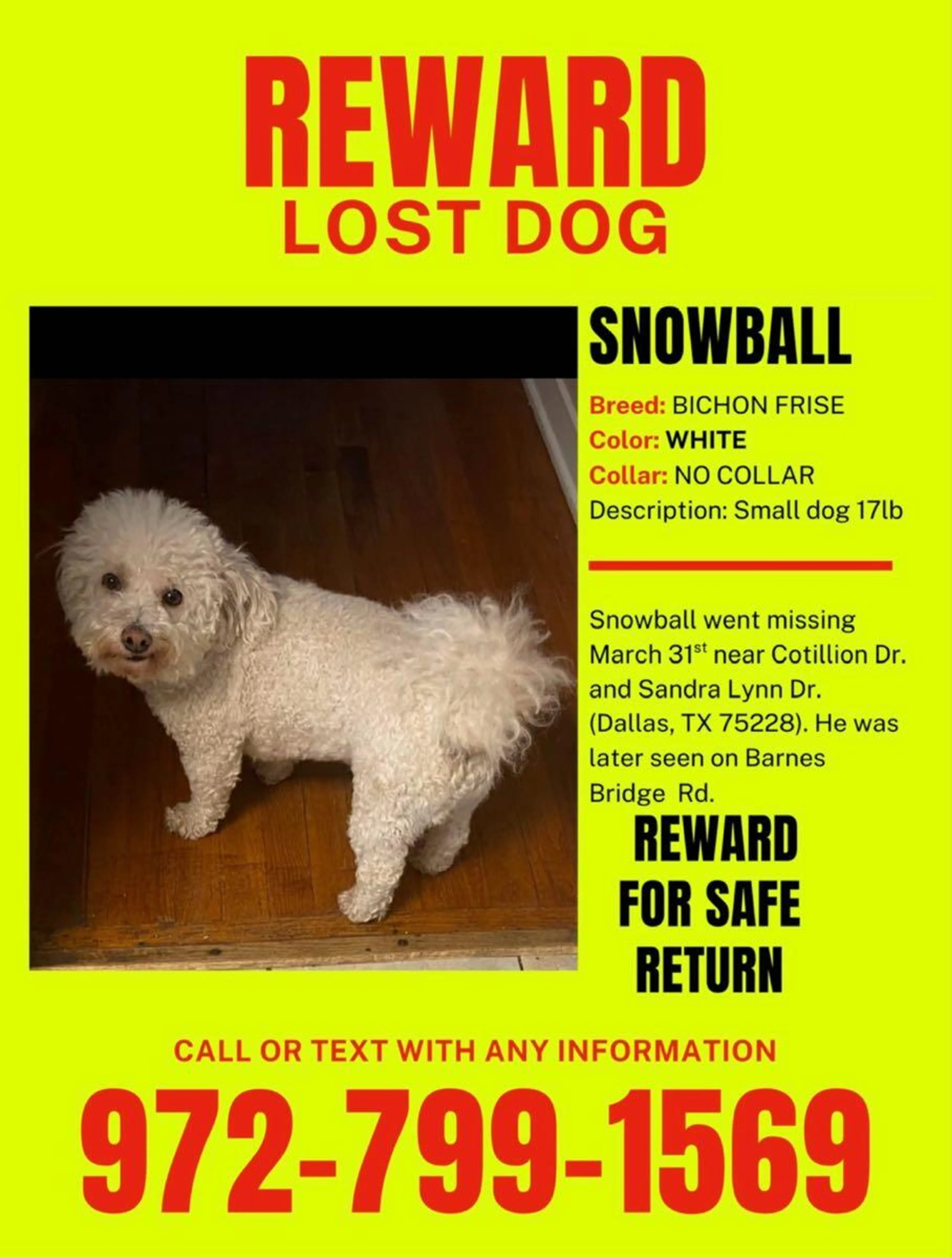 Lost pet