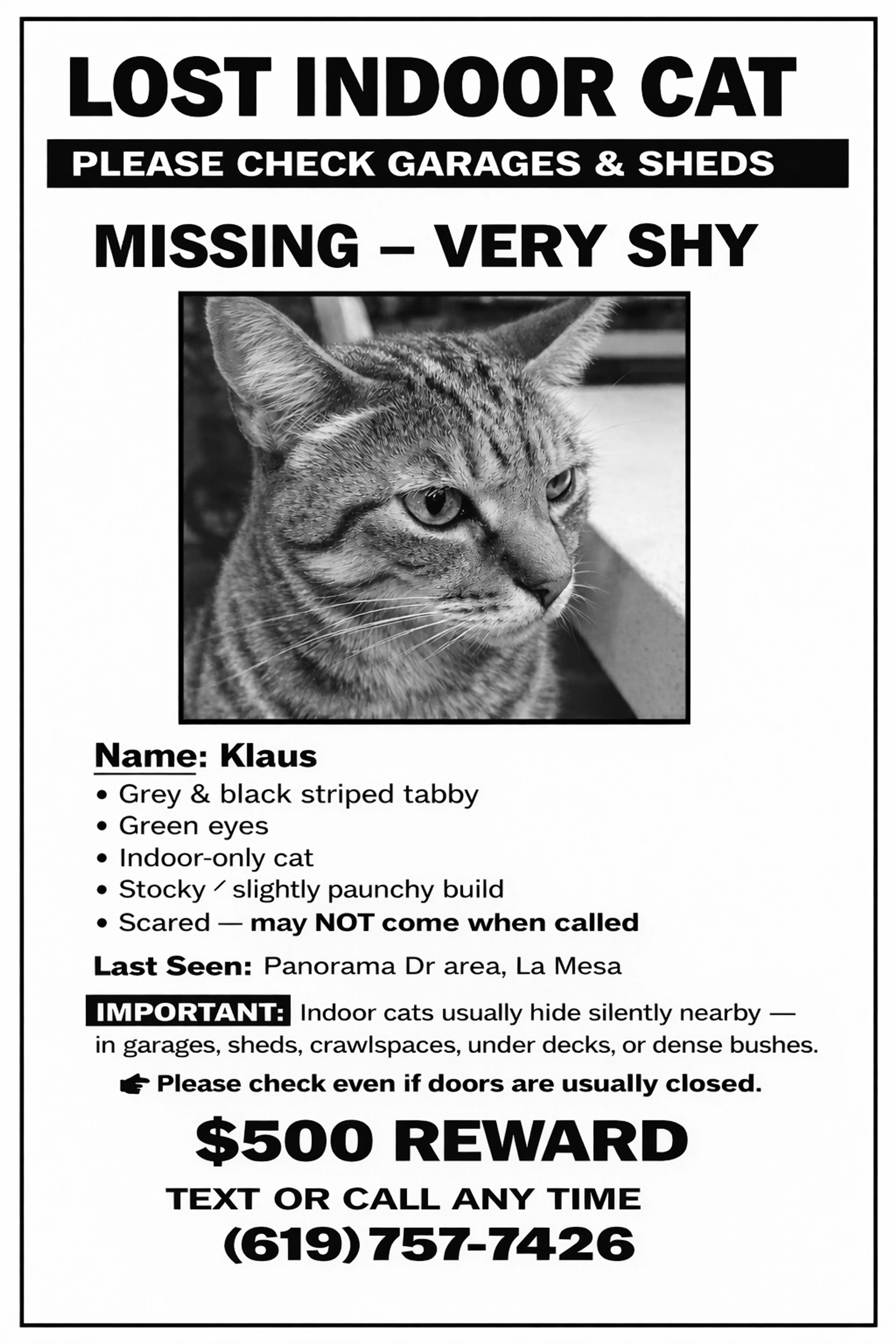 Lost pet