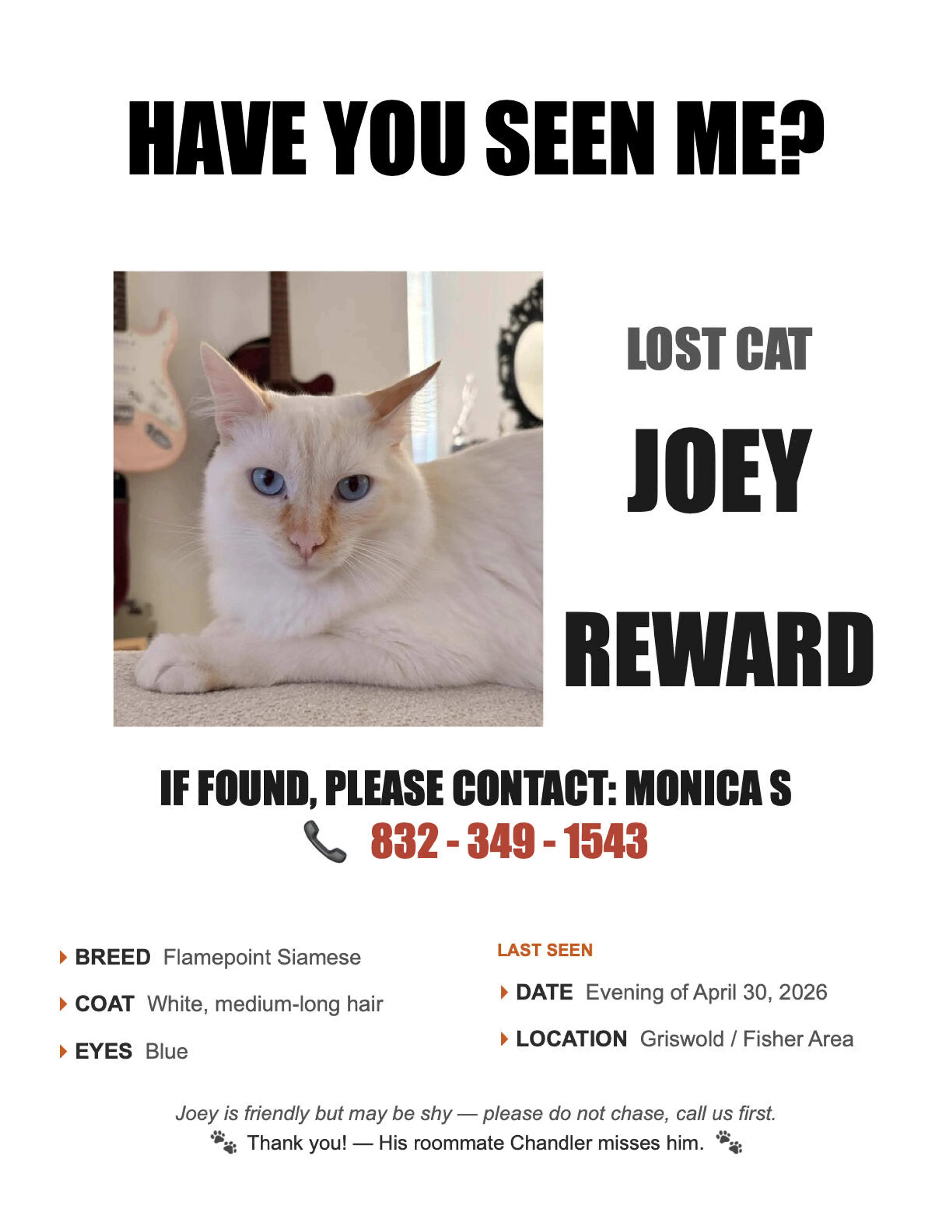 Lost pet