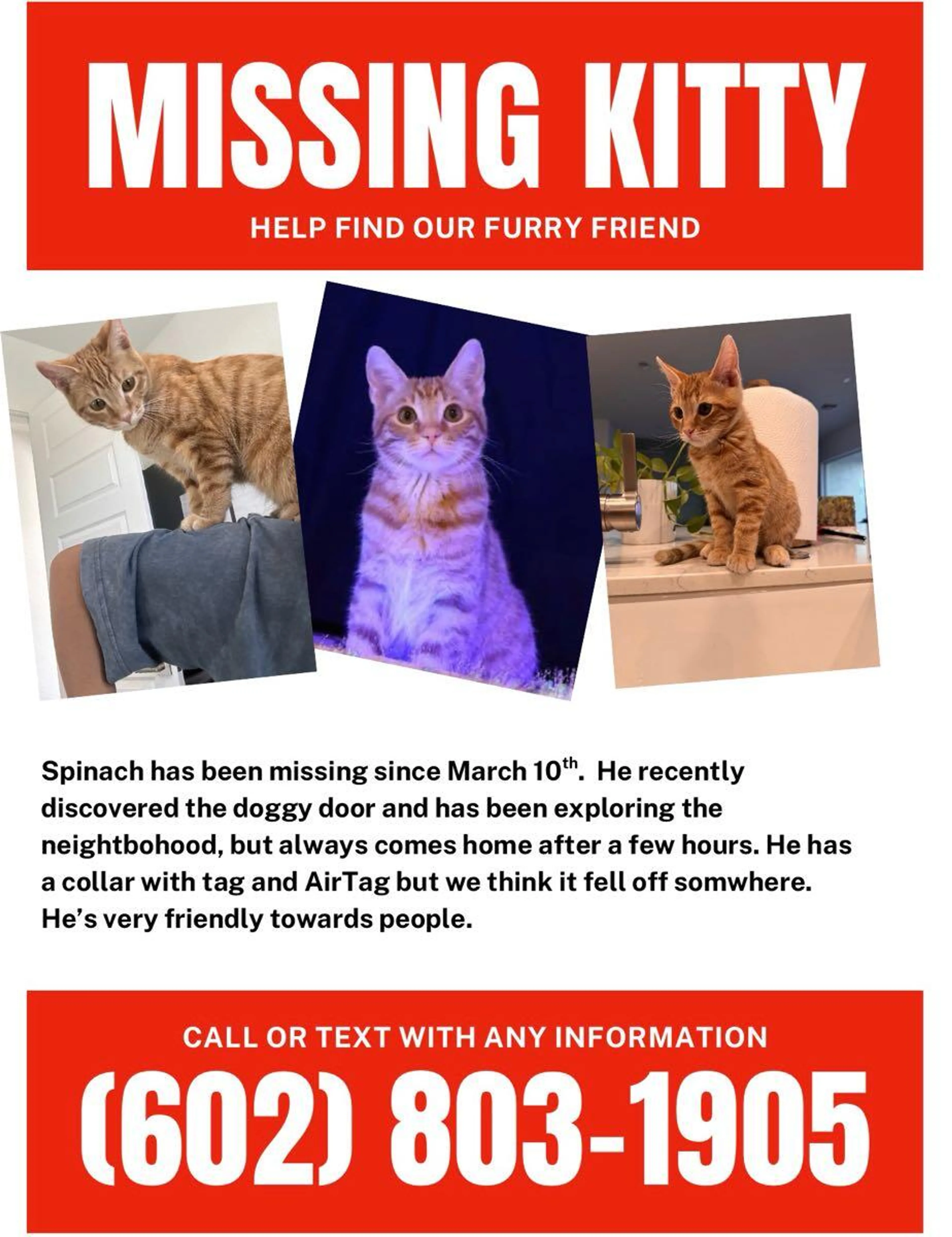 Found pet