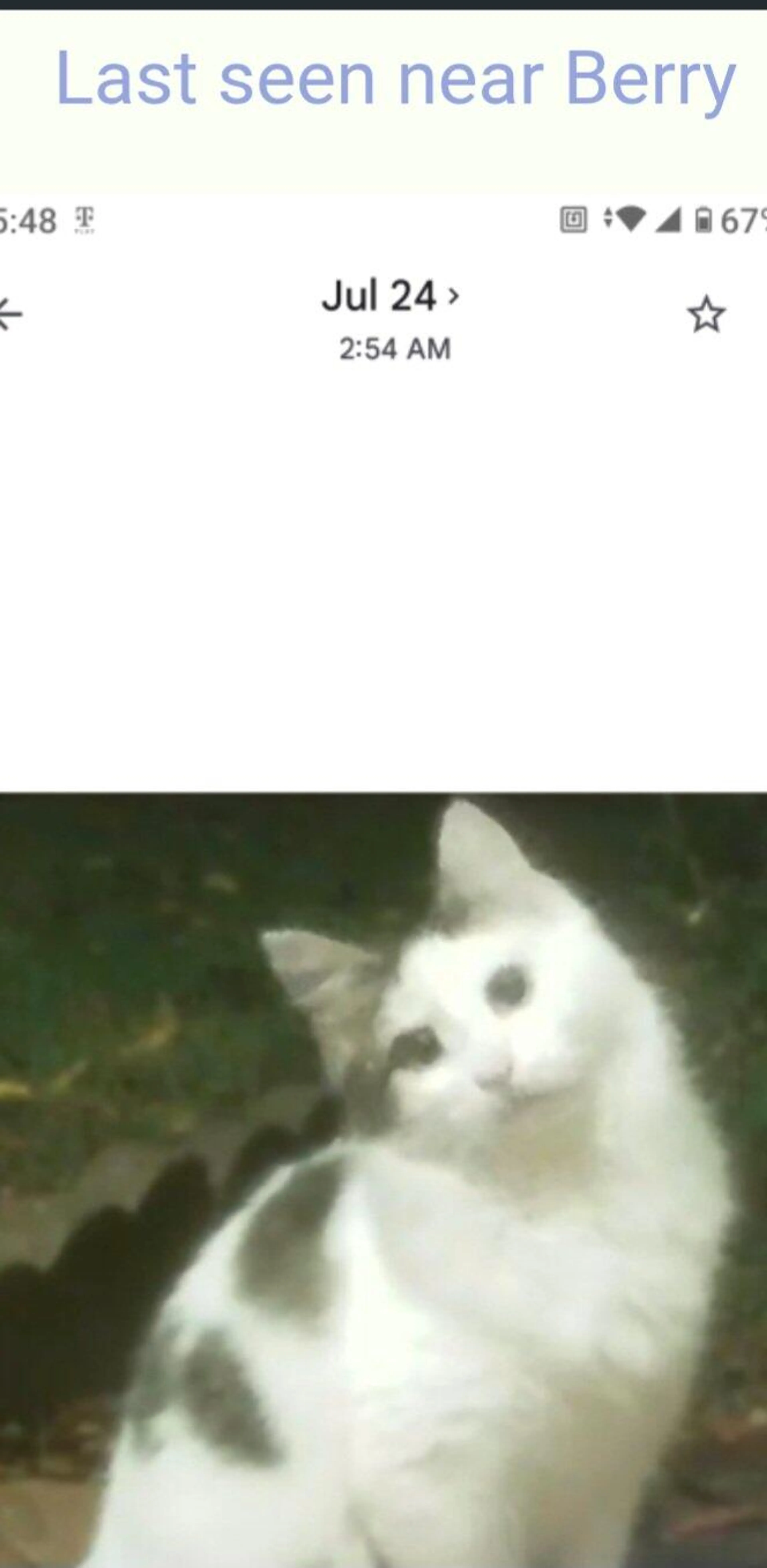 cdn image