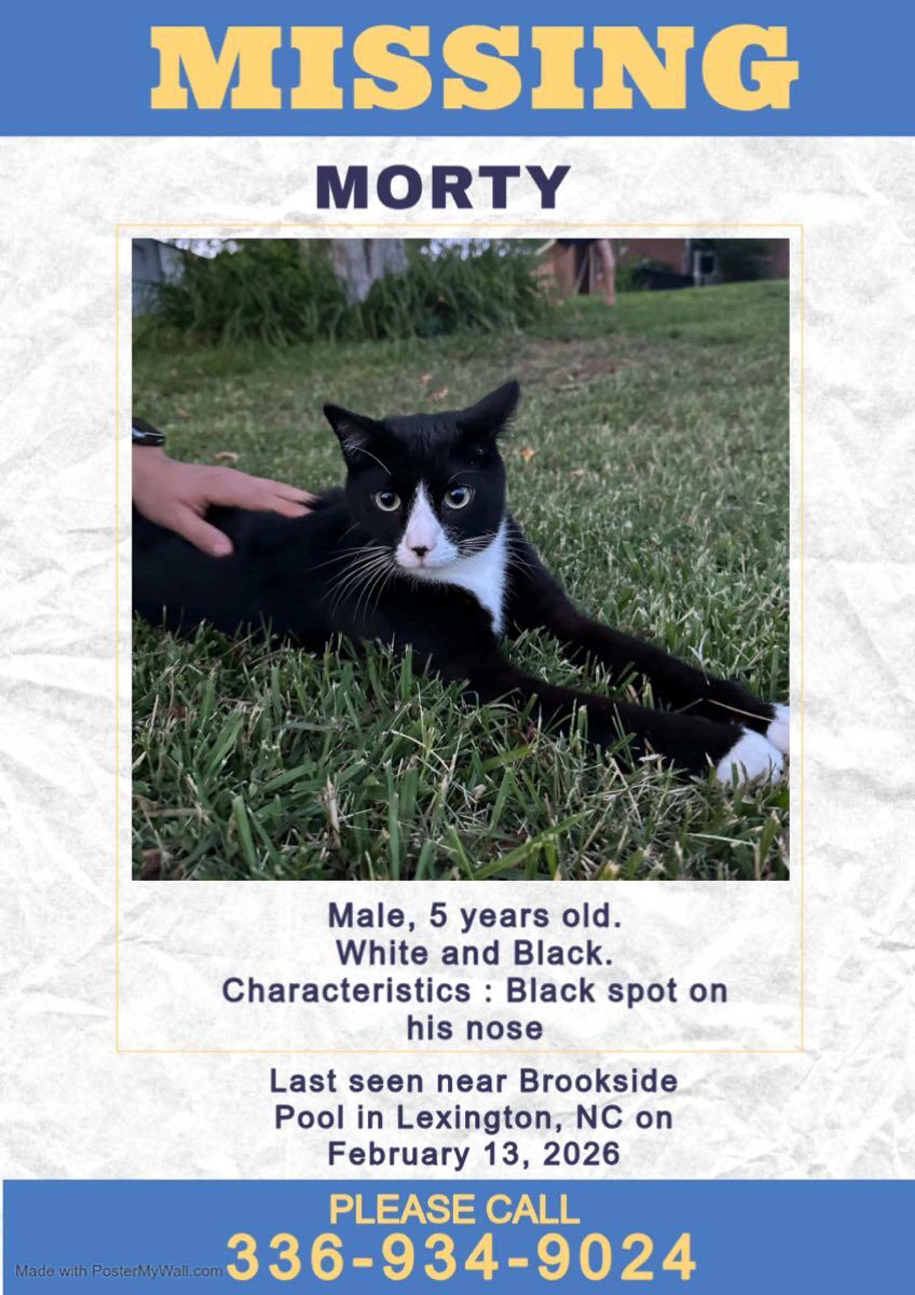 Lost pet