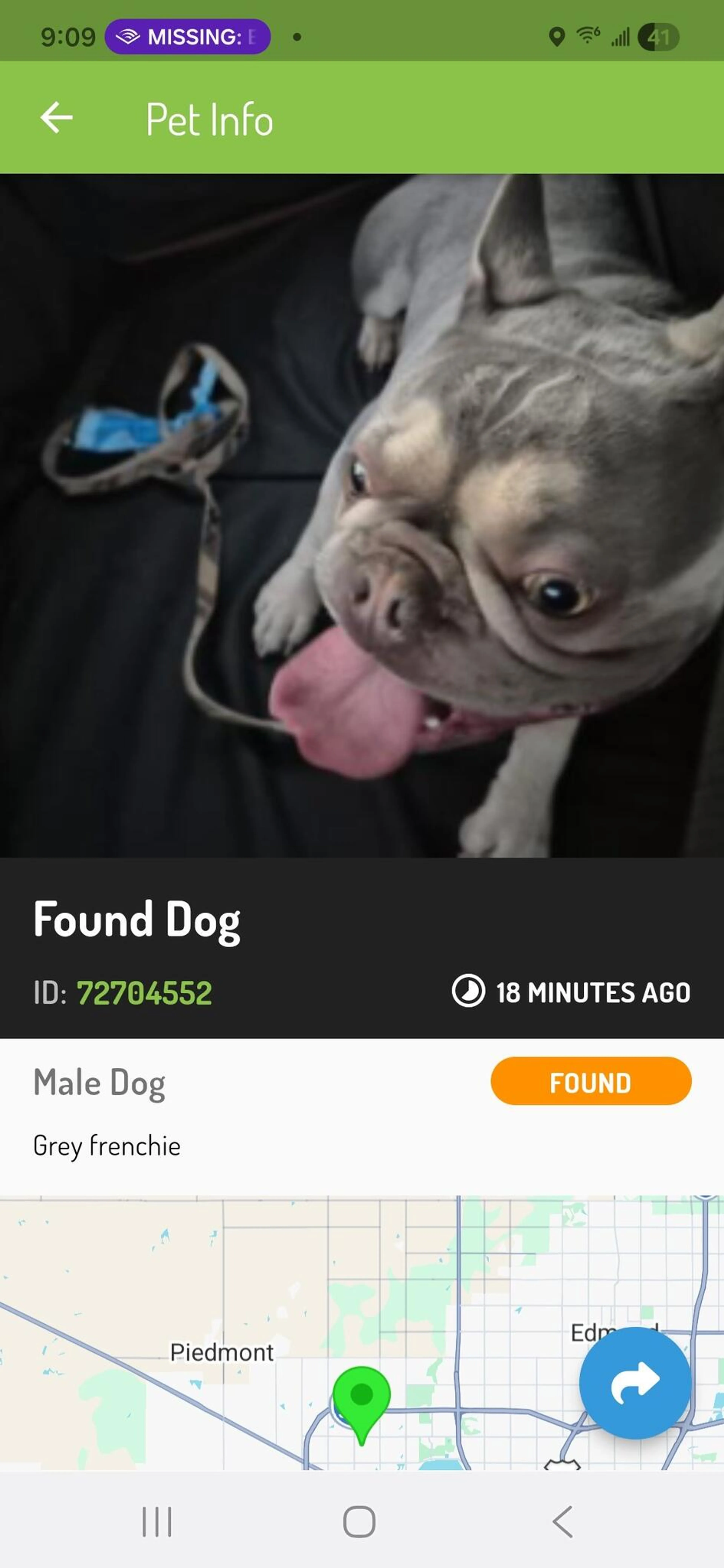 Found pet