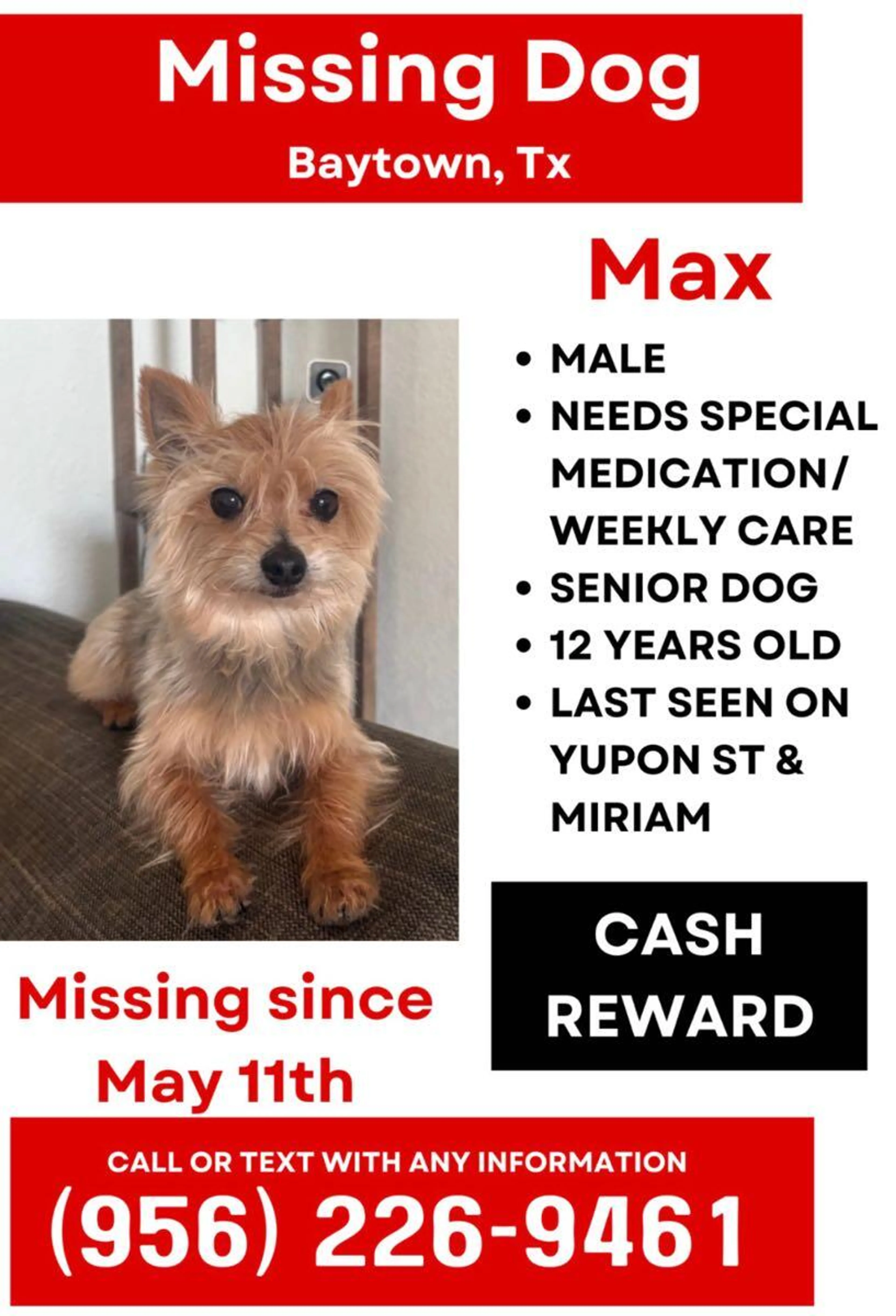Lost pet