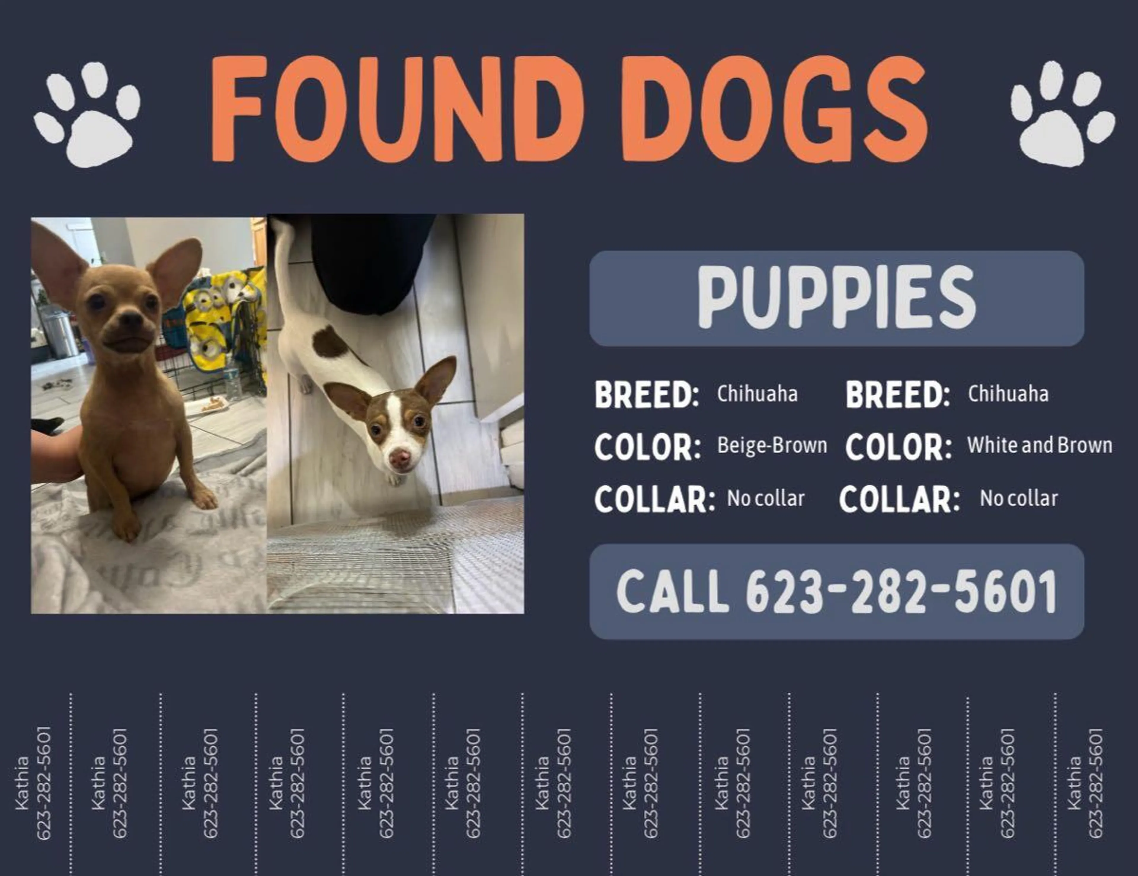 Found pet