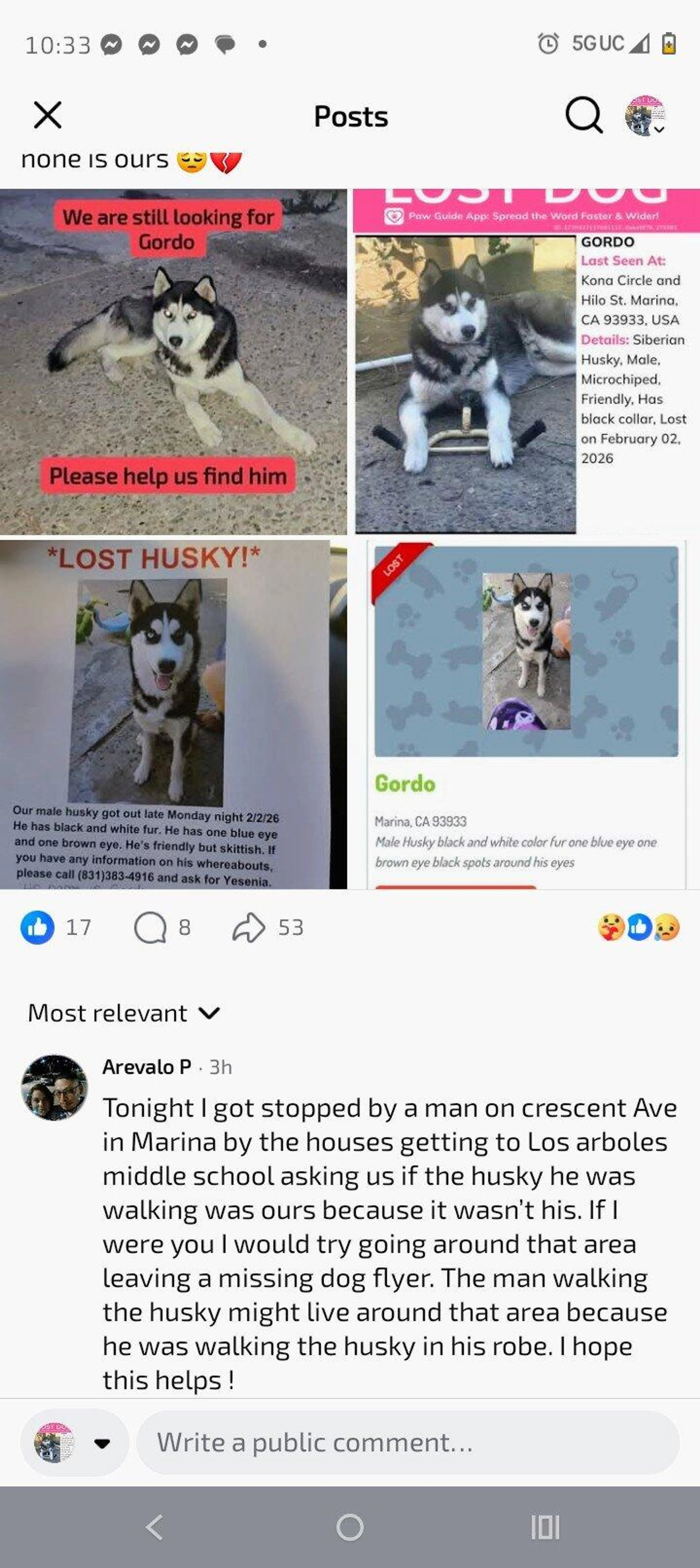 Found pet