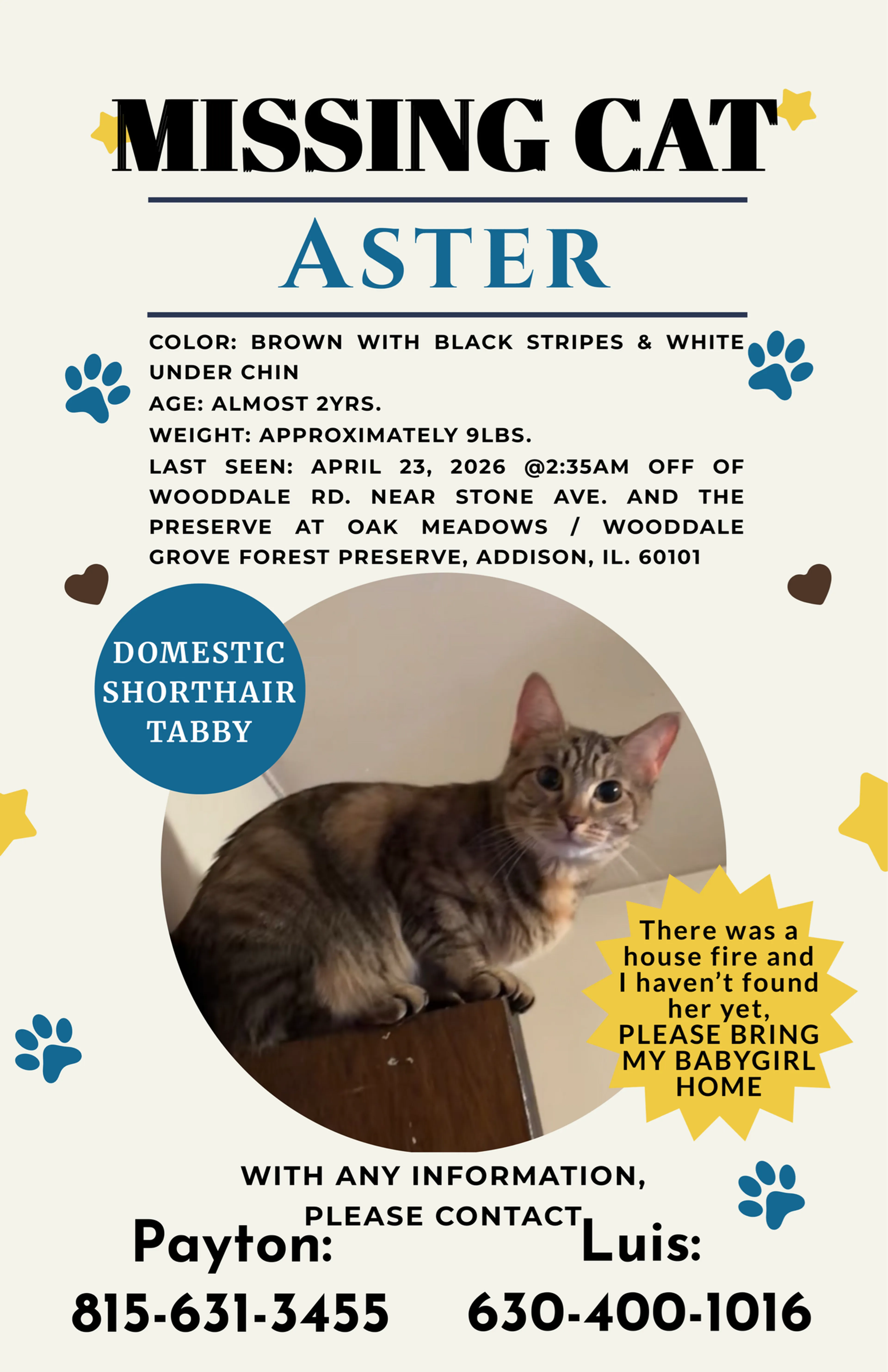Lost pet