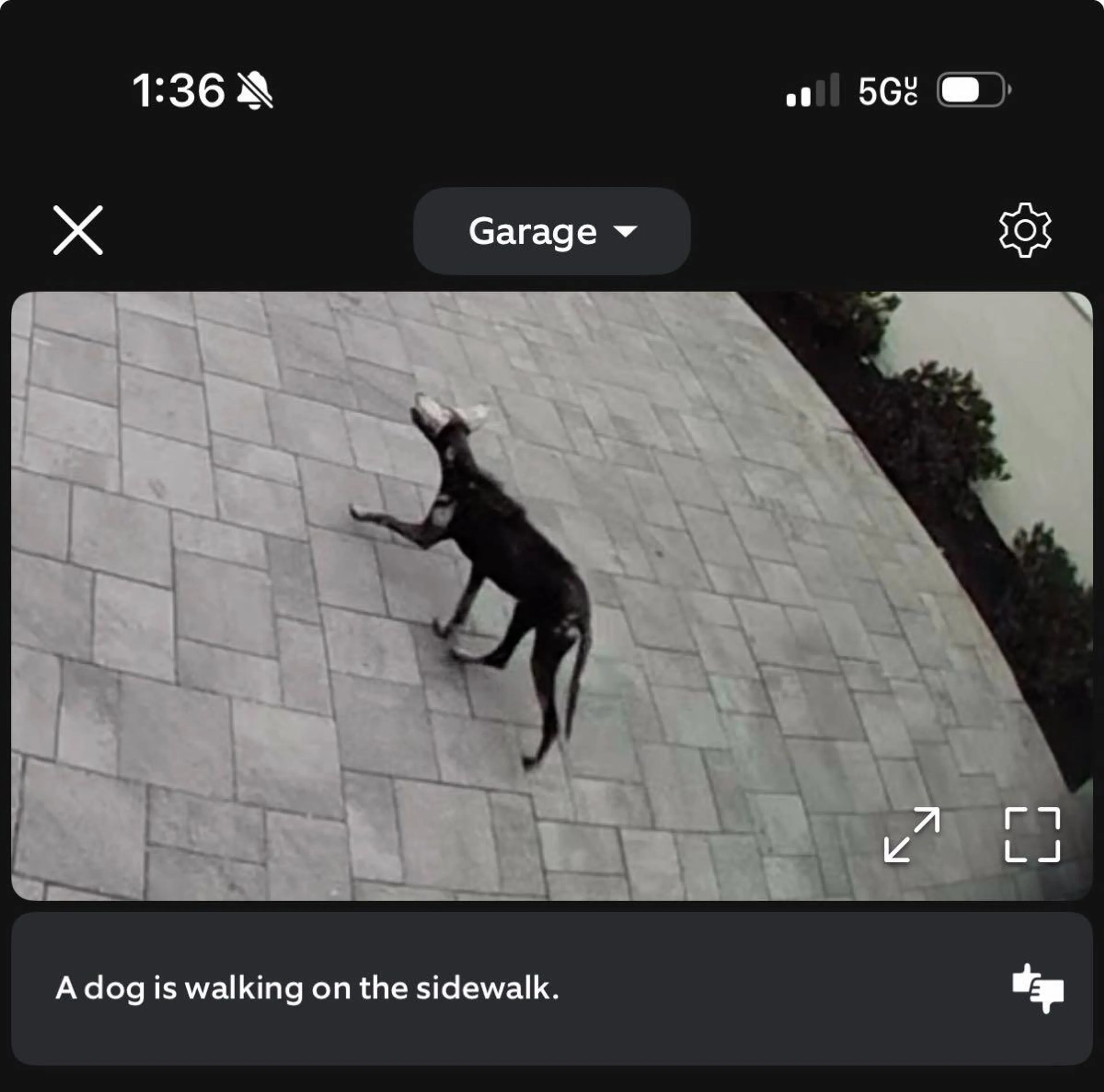 cdn image