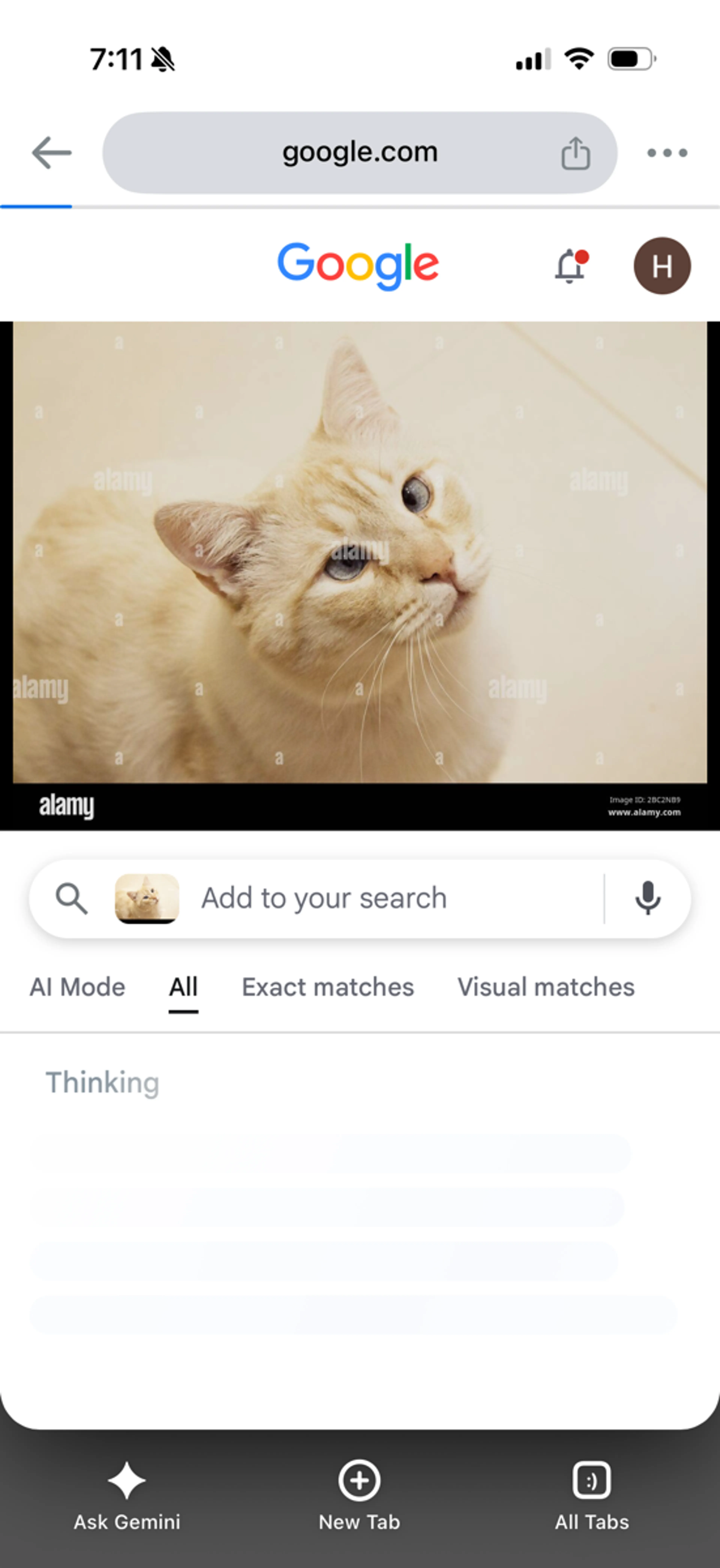 cdn image