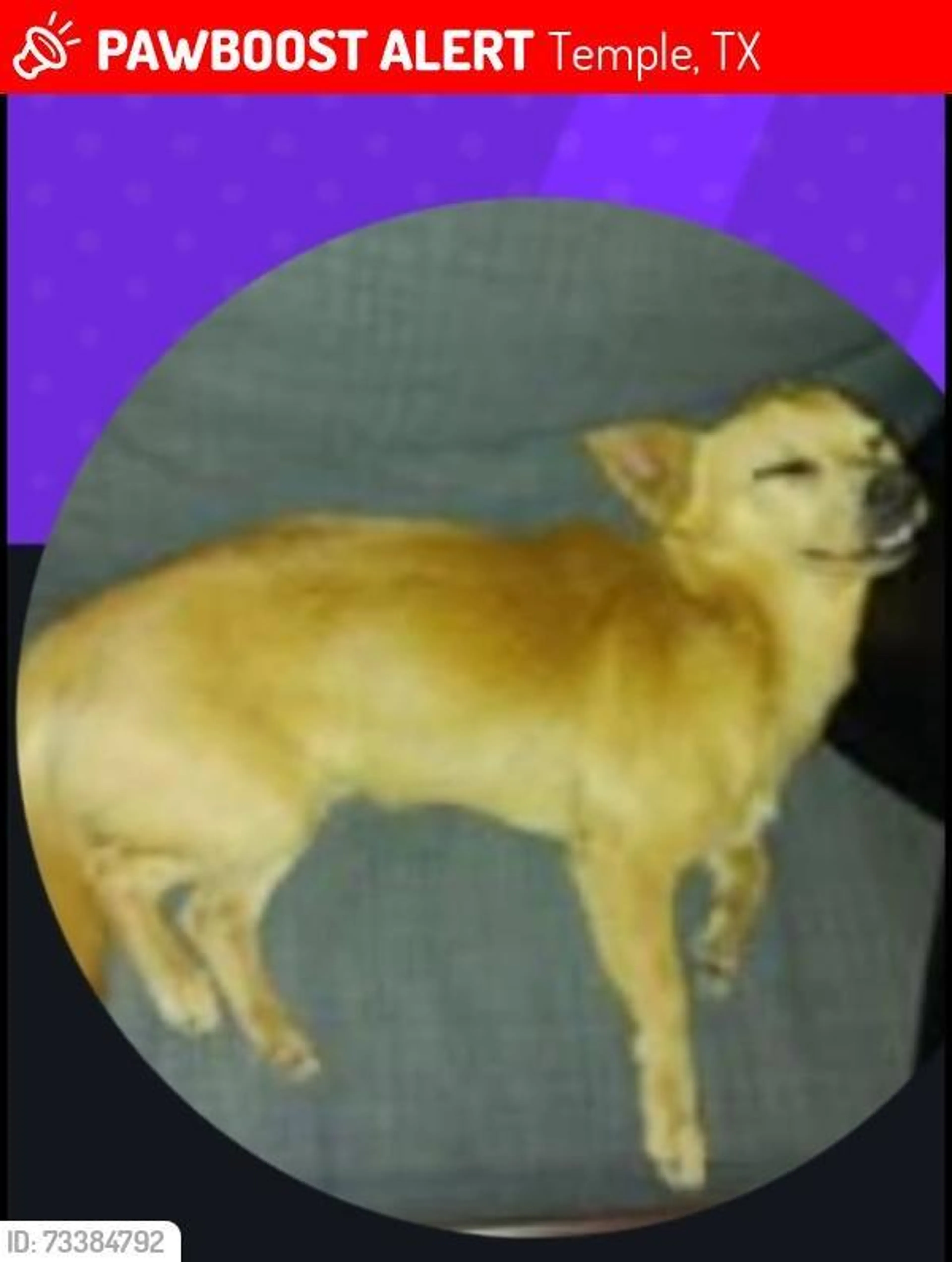 cdn image