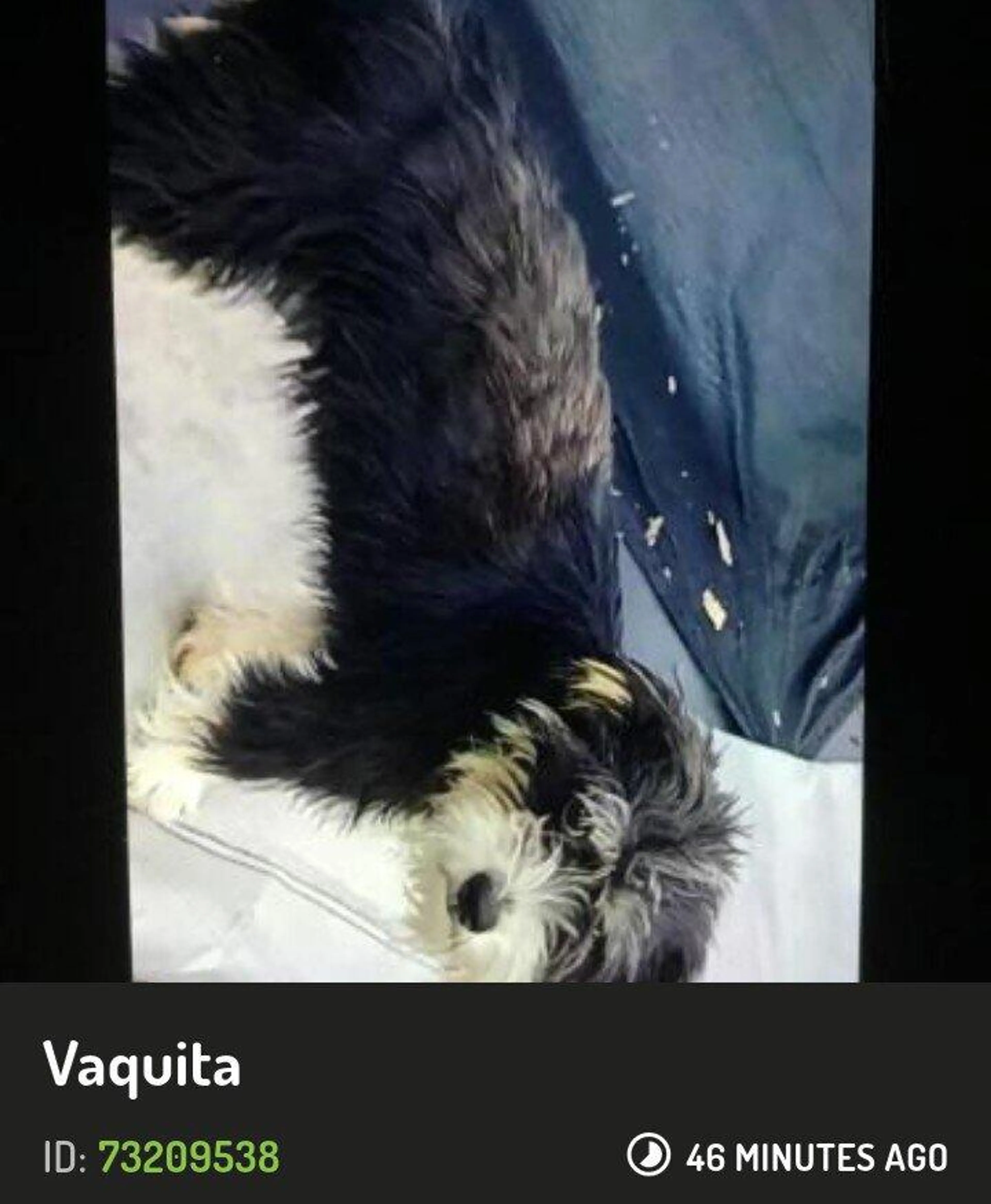 cdn image