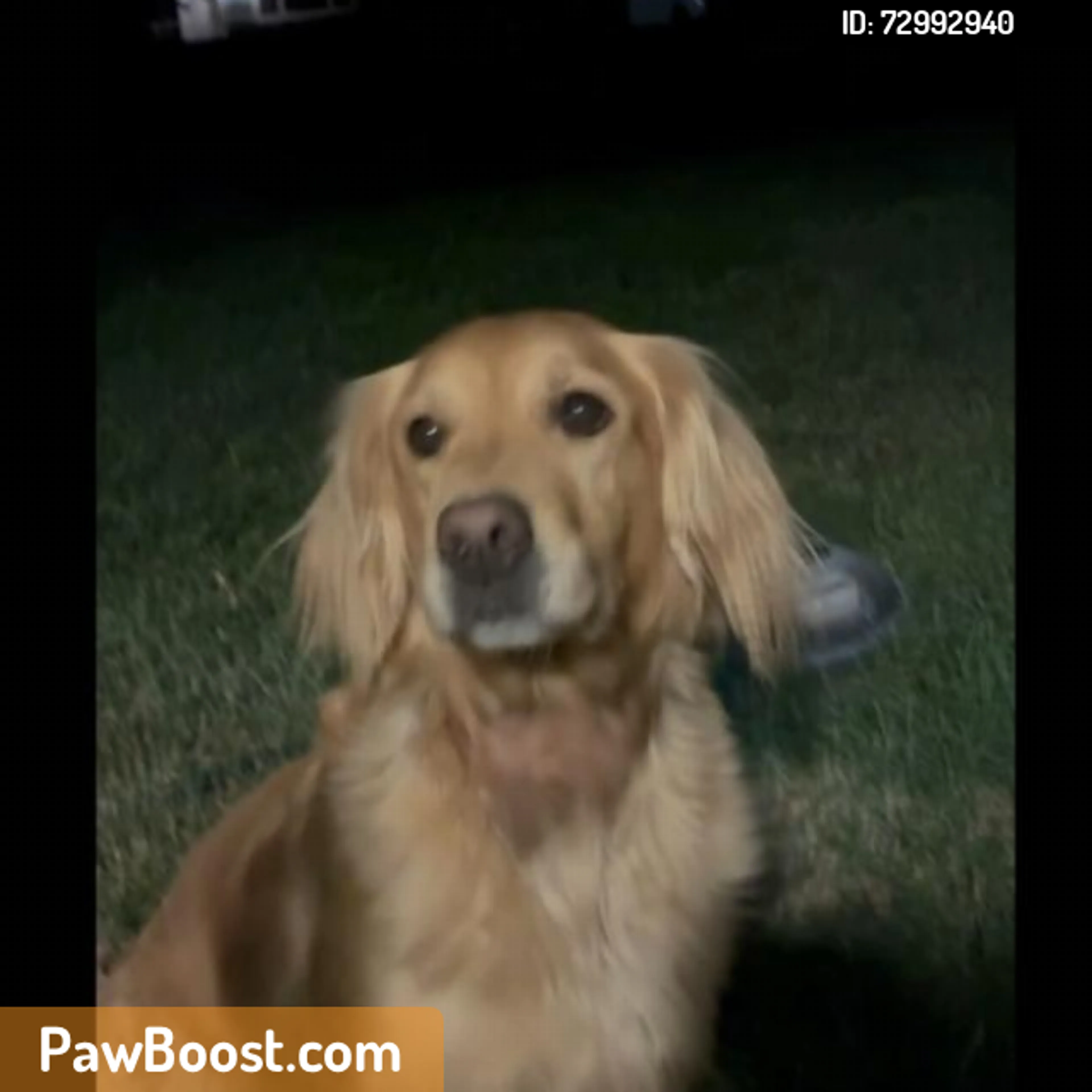 cdn image