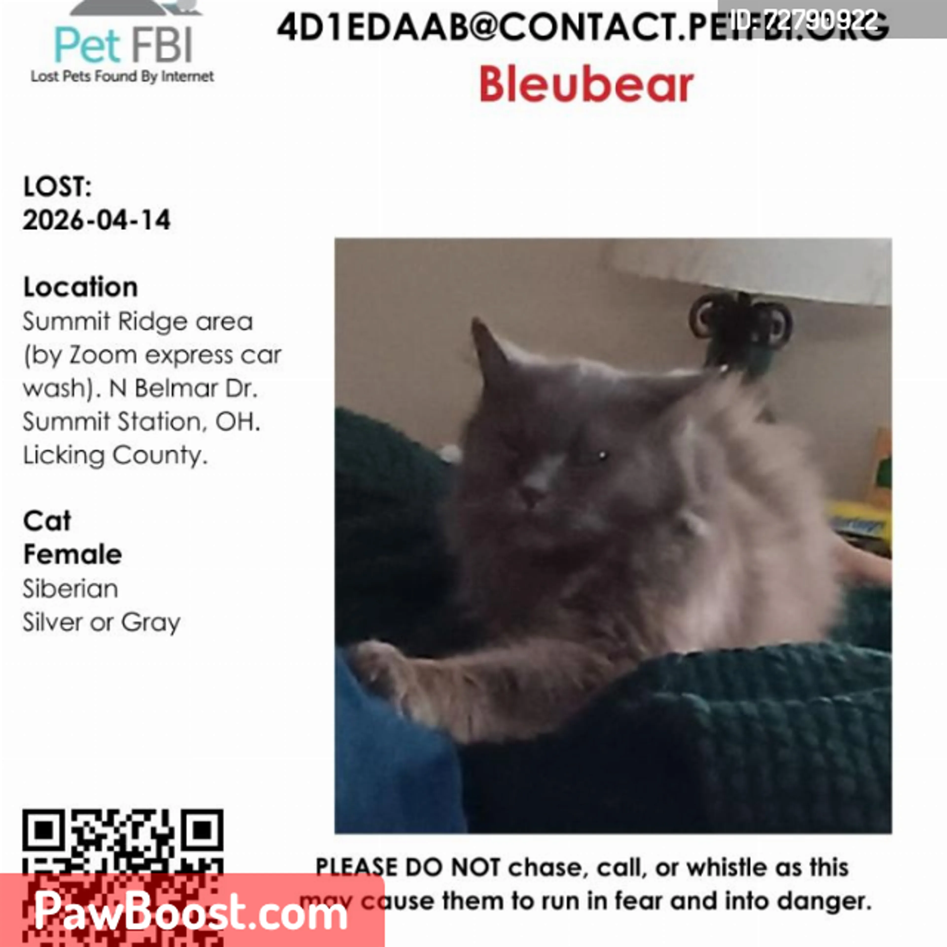 Lost pet