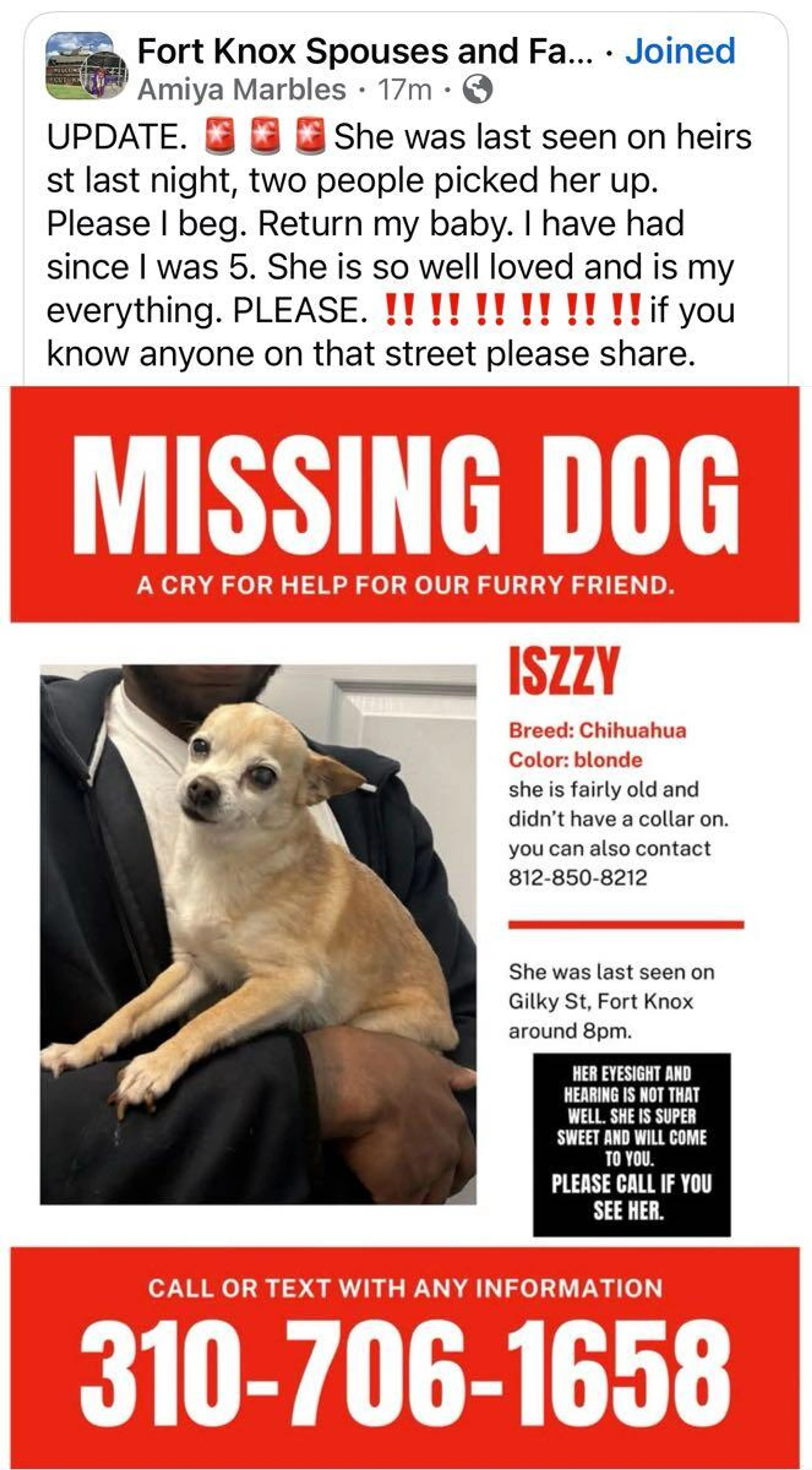 Lost pet