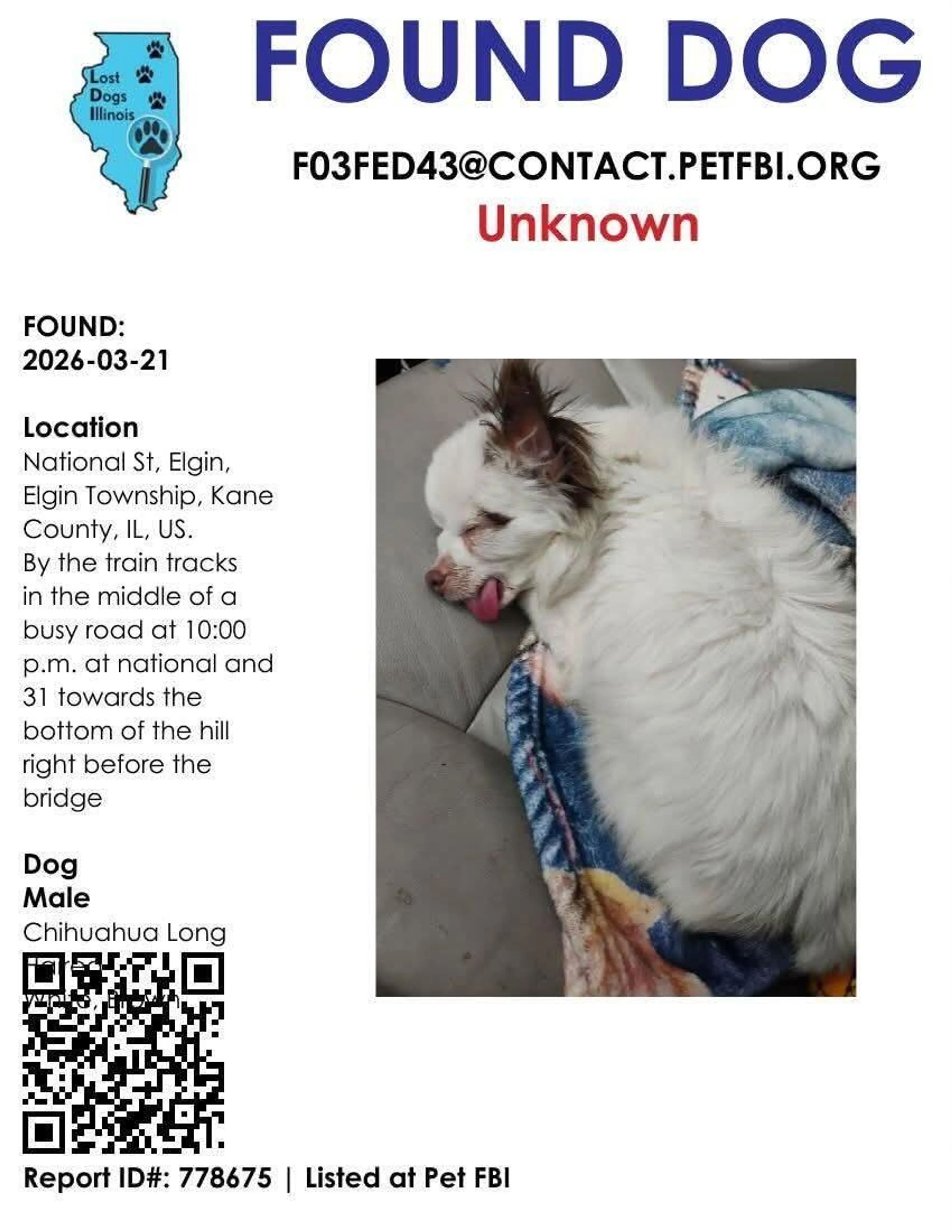 Found pet