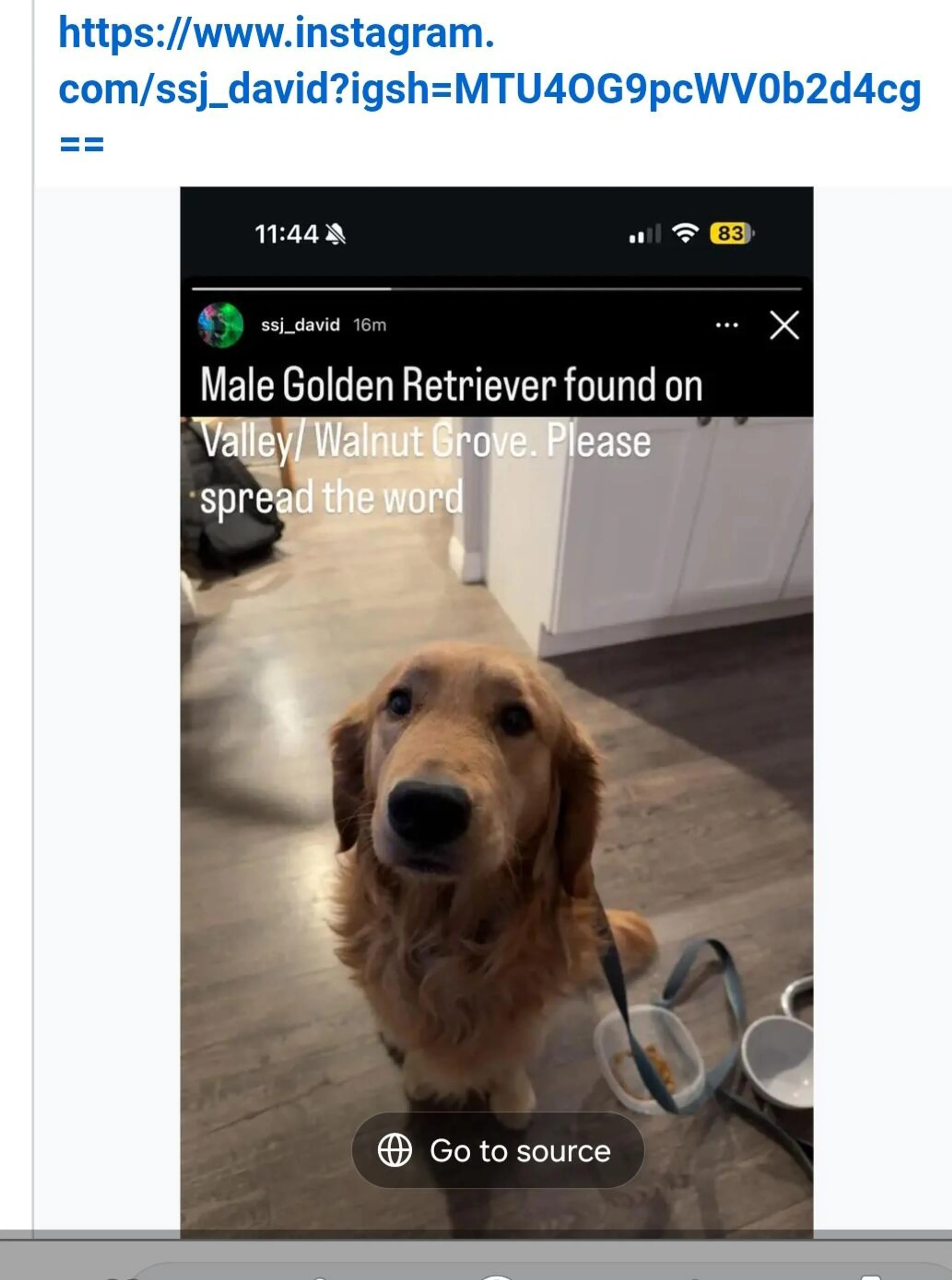 Found pet
