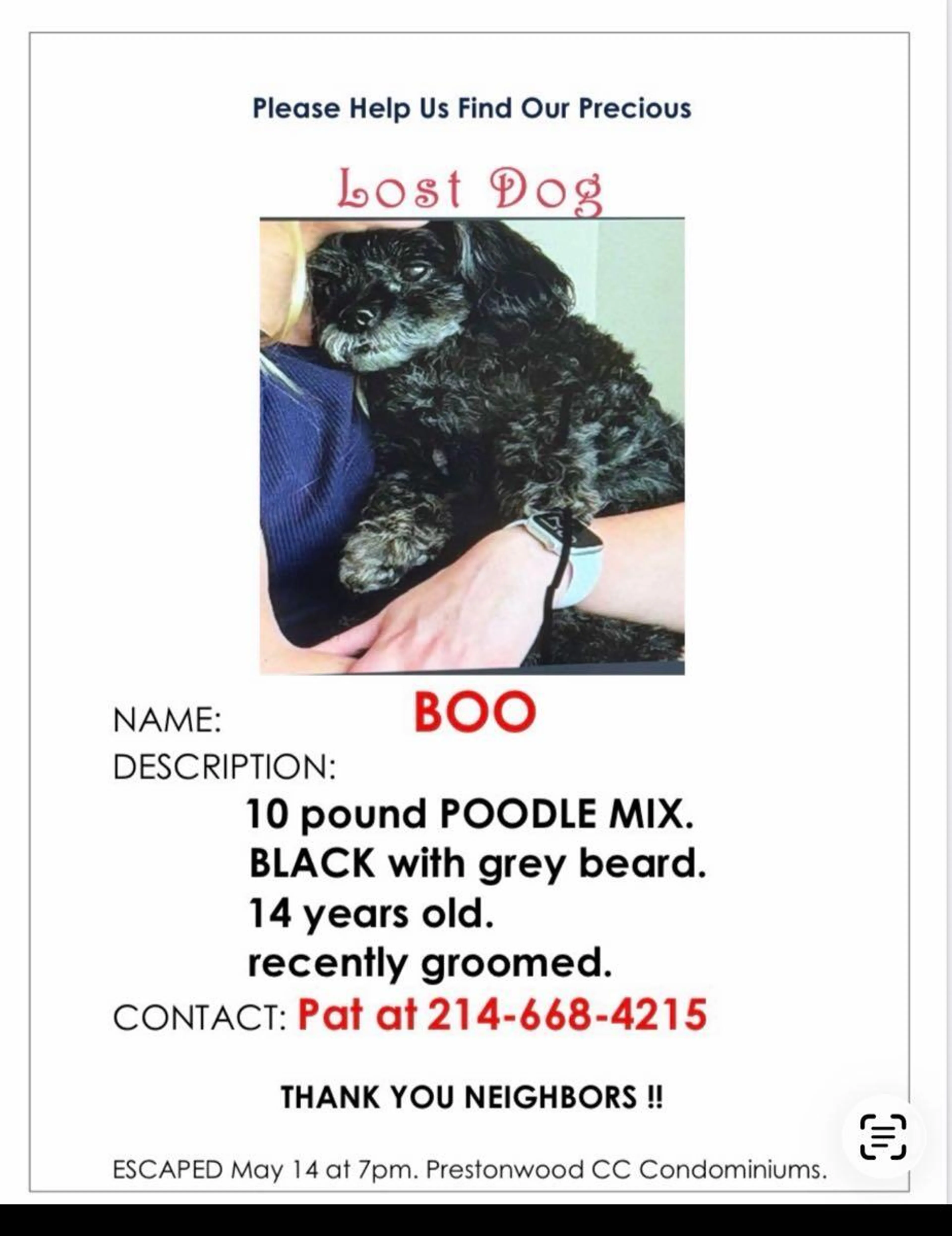 Lost pet