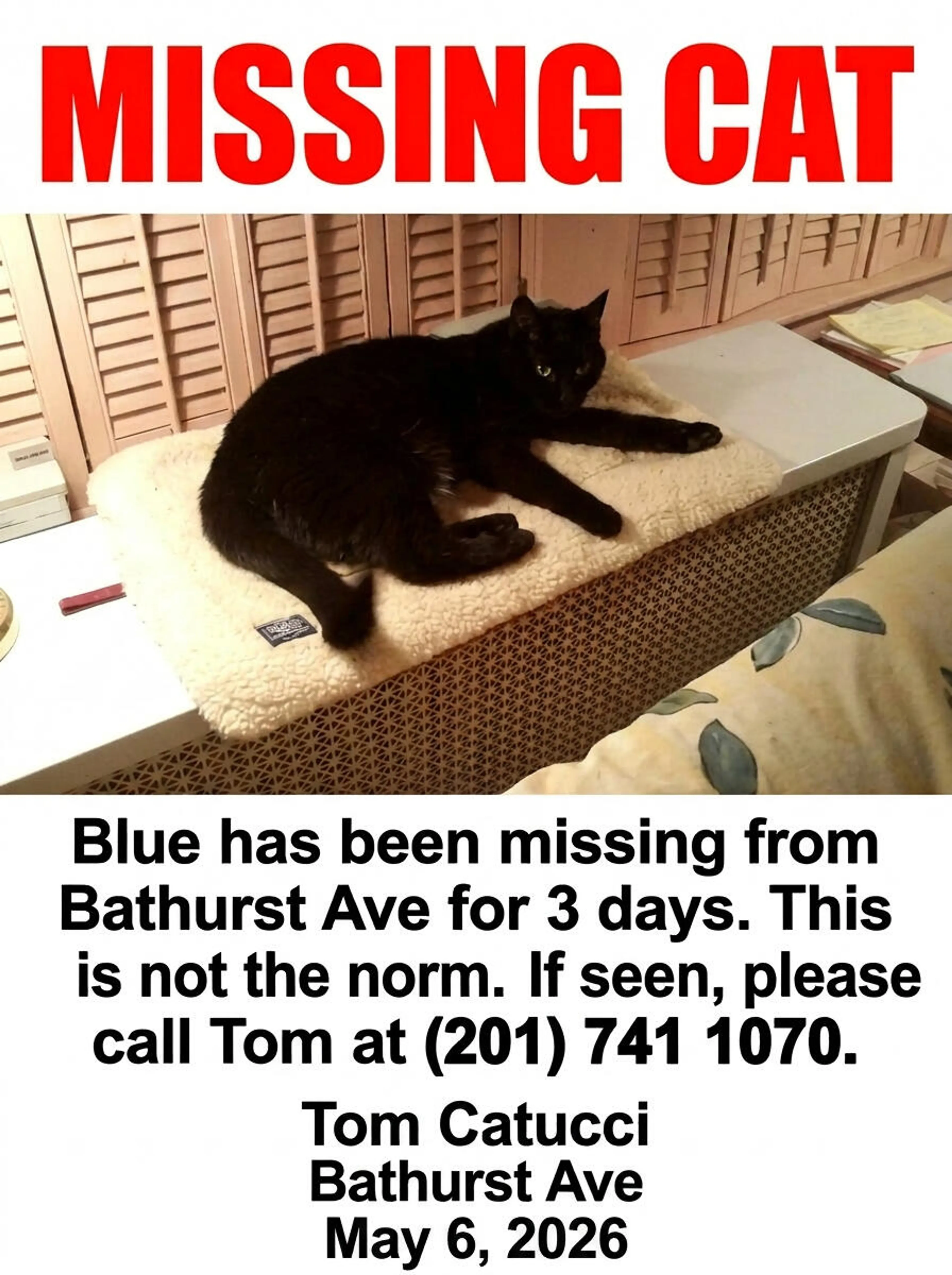 Lost pet