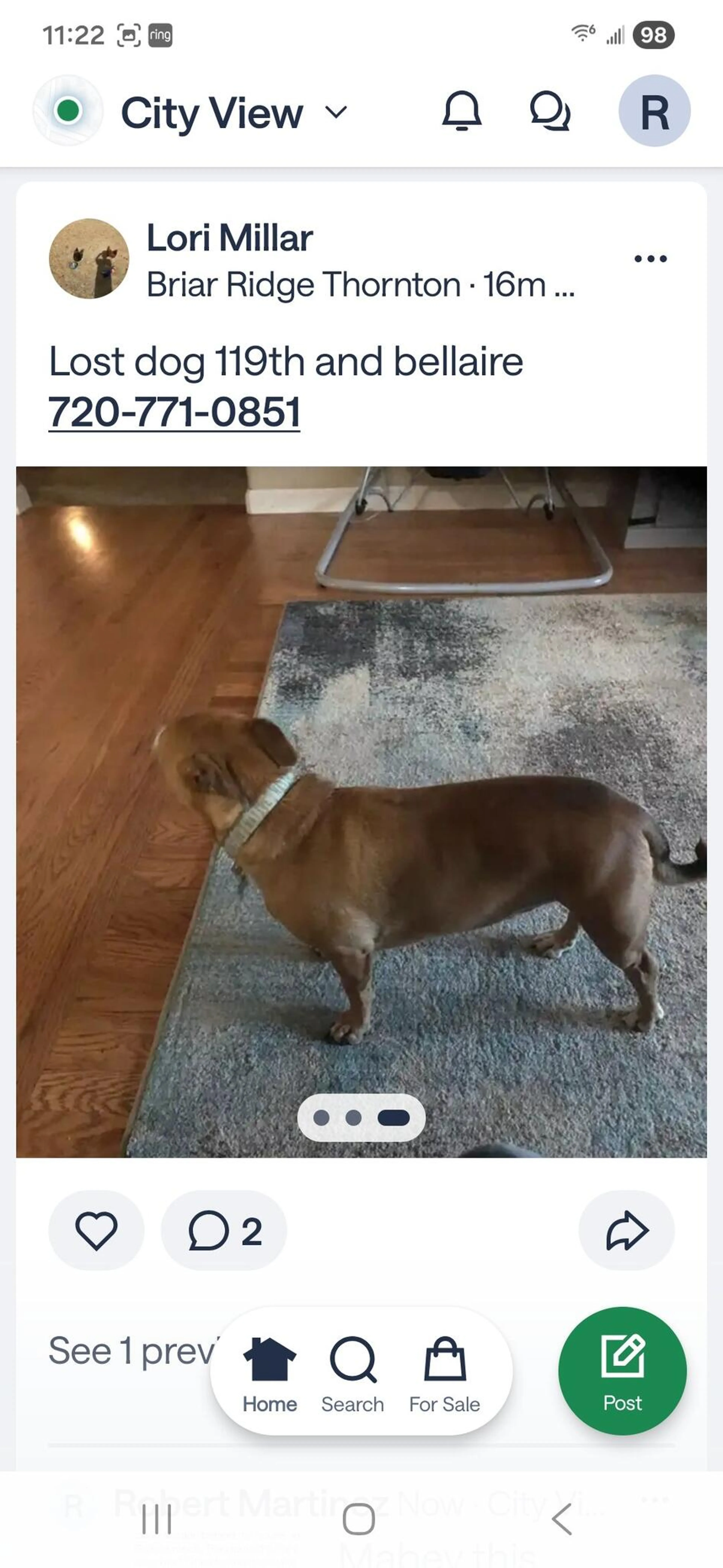 Lost pet