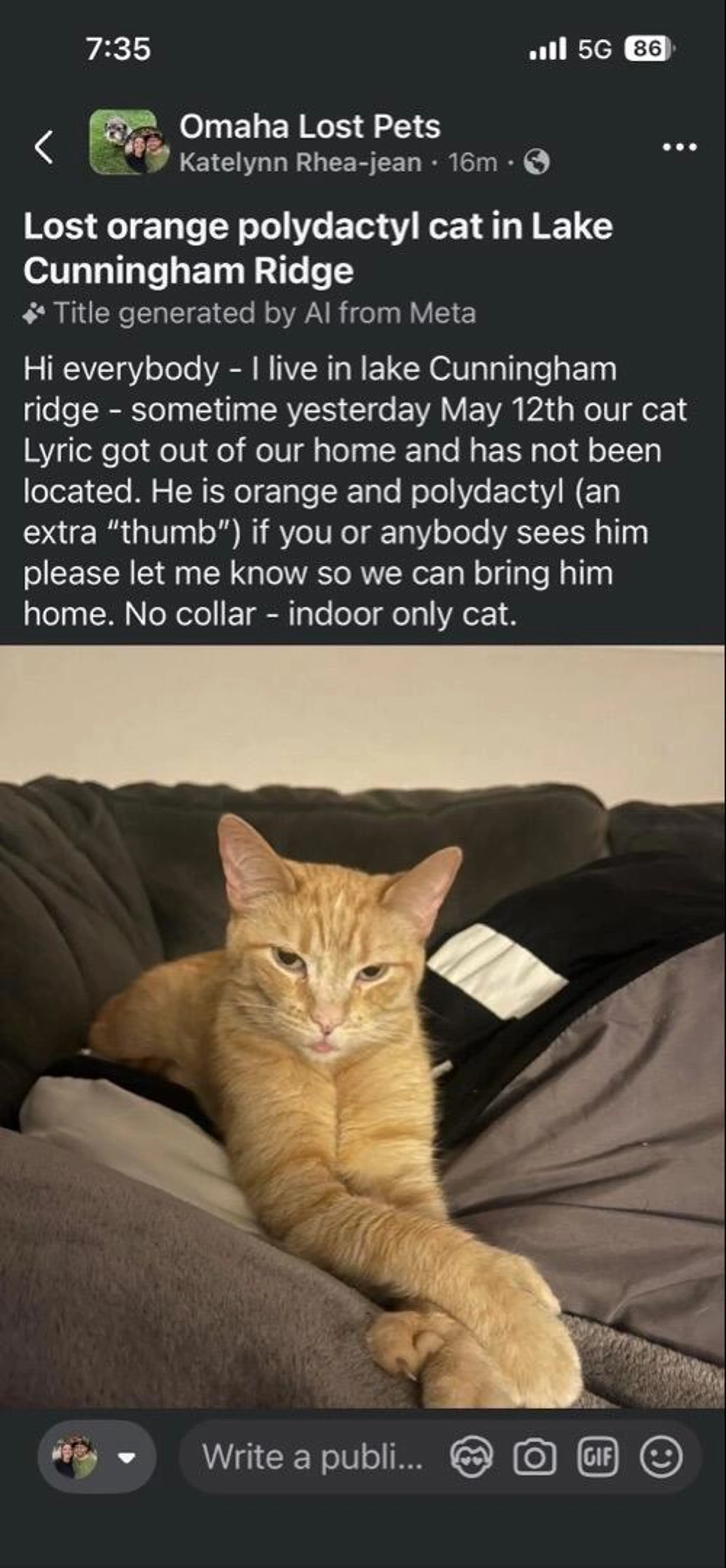 Lost pet